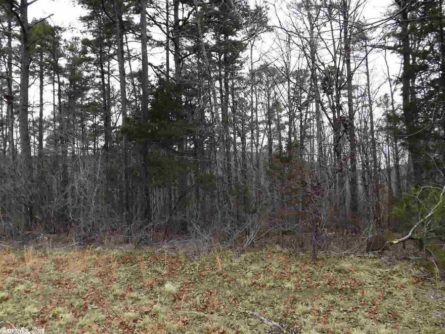 WOW!!!! Looking for a great spot to build on? Just check this beautiful property out. Close to the lake and a boat ramp. Surveyed with the four corners marked. Mobiles homes are ALLOWED. POSSIBLE OWNER FINANCING.  Lots may be sold separately for $10,000 each.  See MLS #10556036 and 15006037.