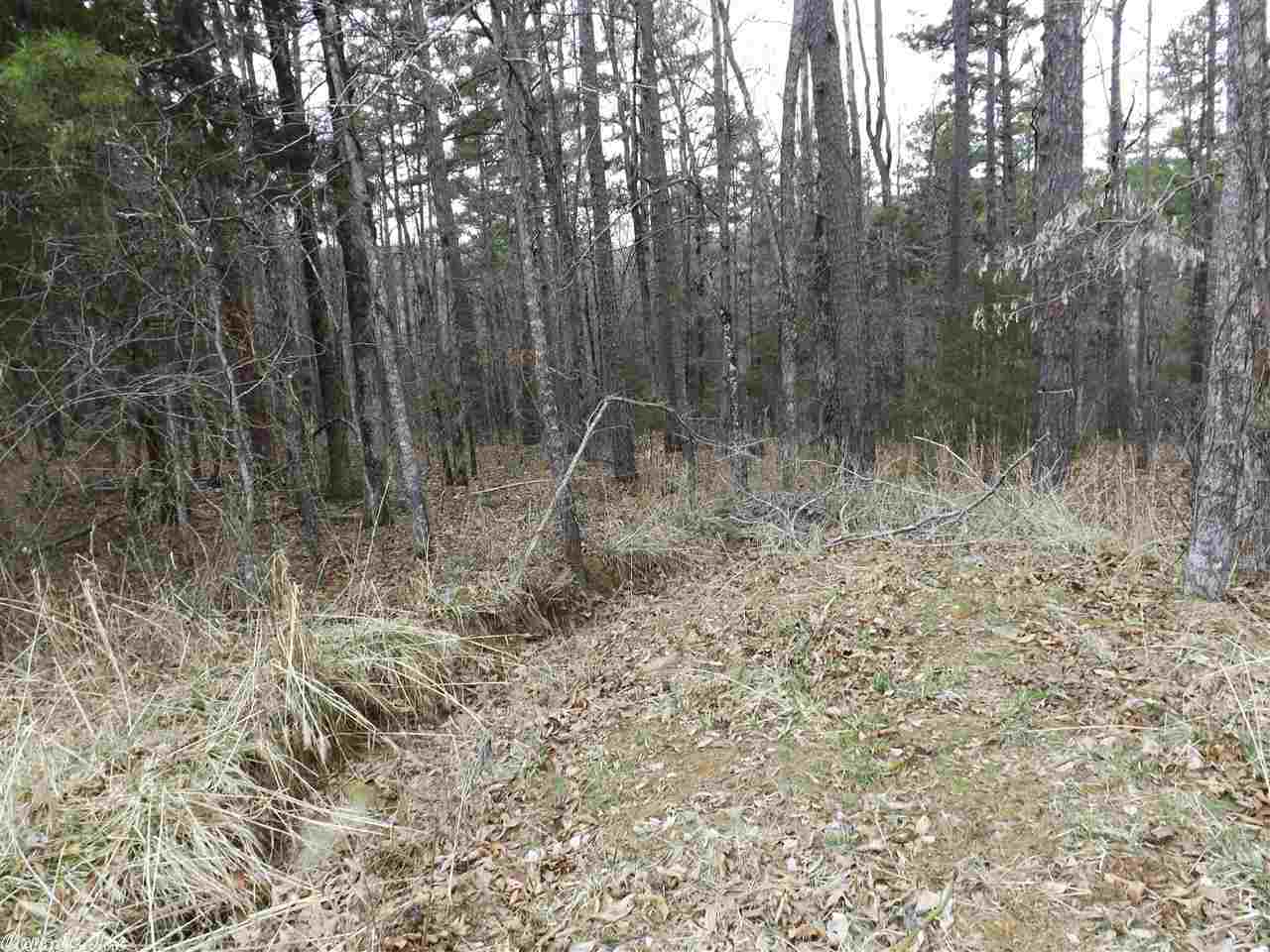 Rocky Branch I - Land