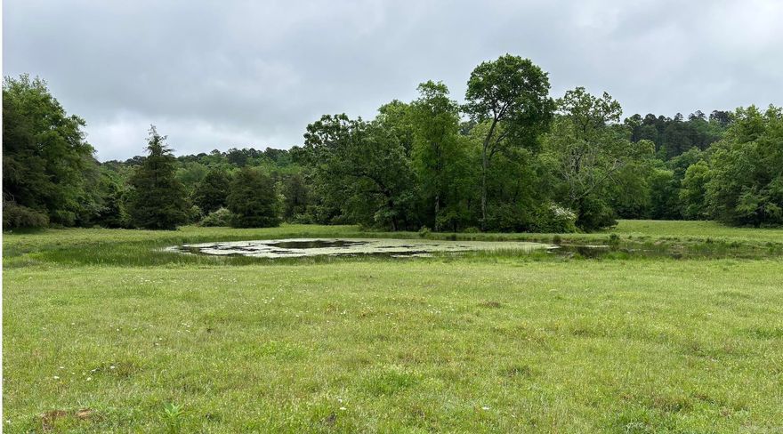 15 Acres of paster land fenced and currently has cattle grazing. It has three mature pear trees. Year around pond on the north side and small section of creek to the south. Forest service access is literally right across the street and there is another access road about a 1/2 mile to the west. You are also about 15 min from a public access to the caddo river and about 15 min to twin creek boat ramp on Ouachita.