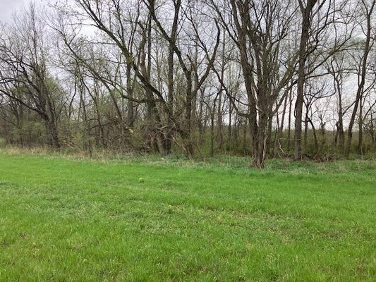 100 BOOTH CREEK RD, WILLIFORD, AR 72482 - Image 3efce5d30c48fa2c76774b16ed3c819b/354516420