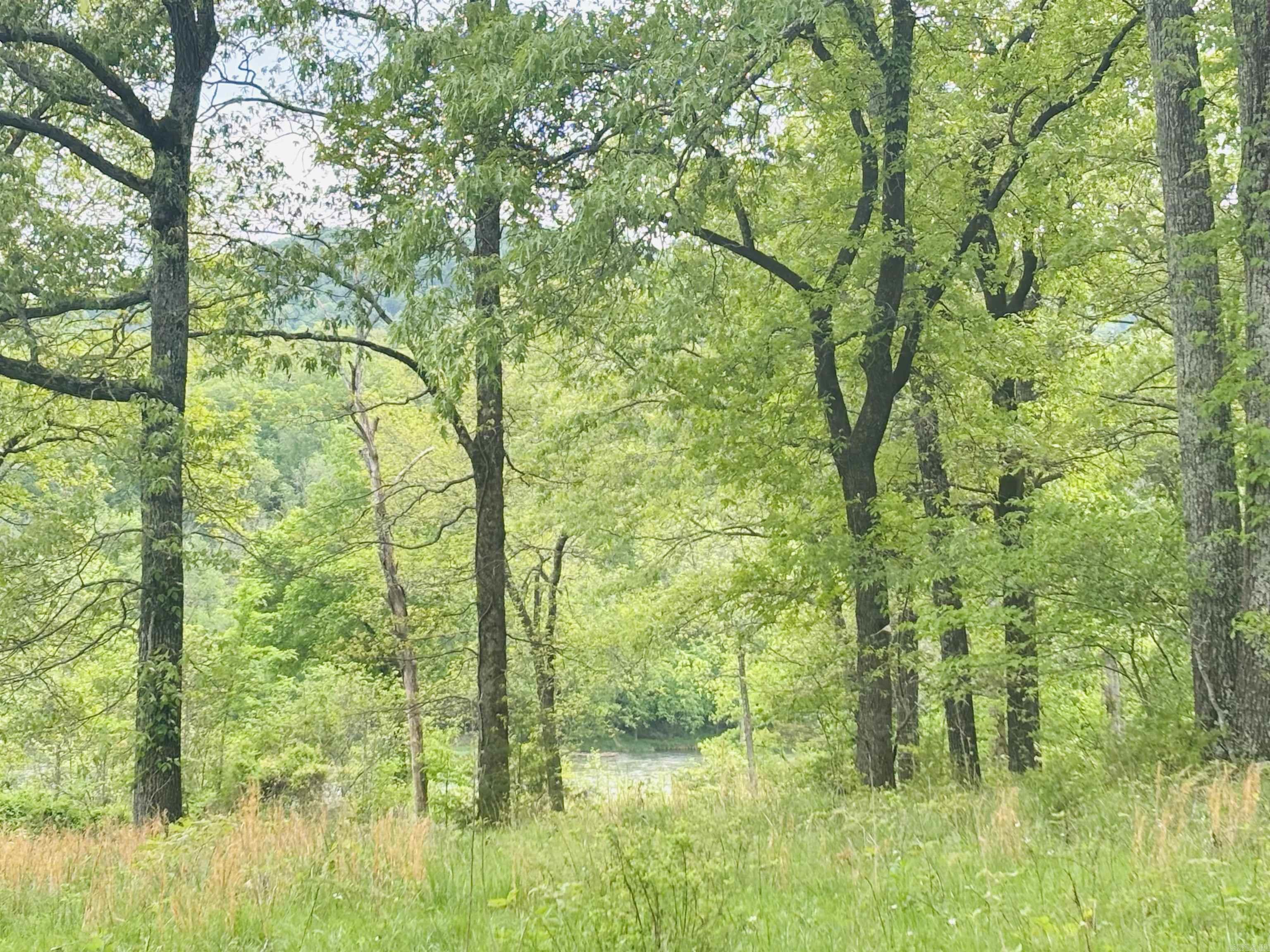 White River Valley - Land