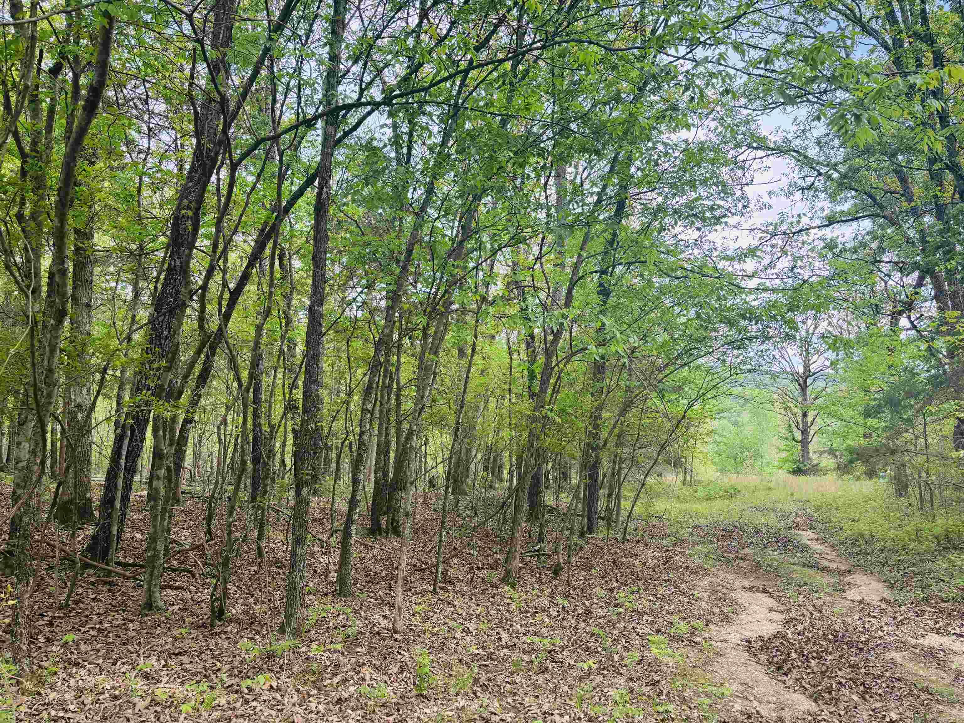 White River Valley - Land