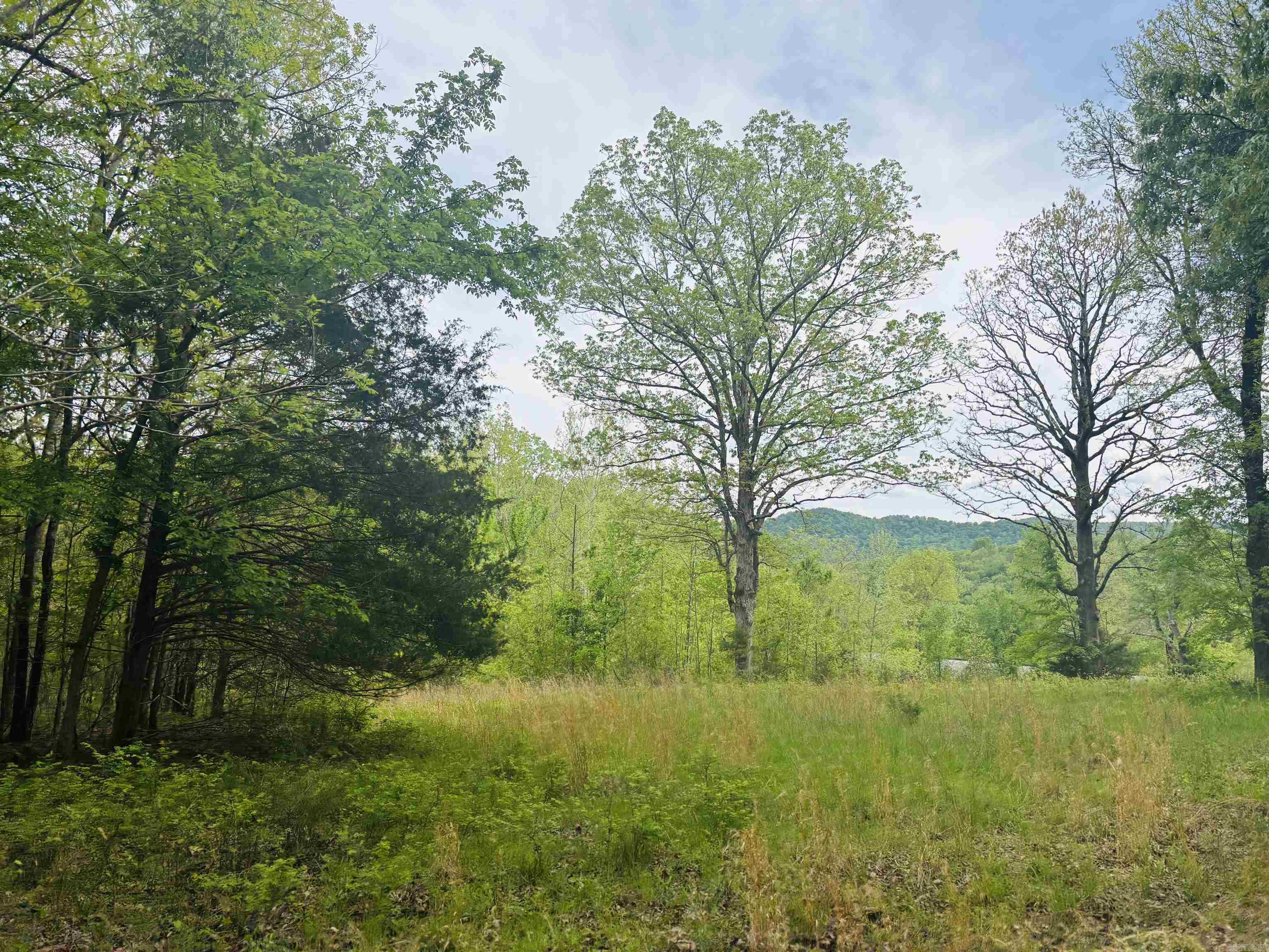 White River Valley - Land