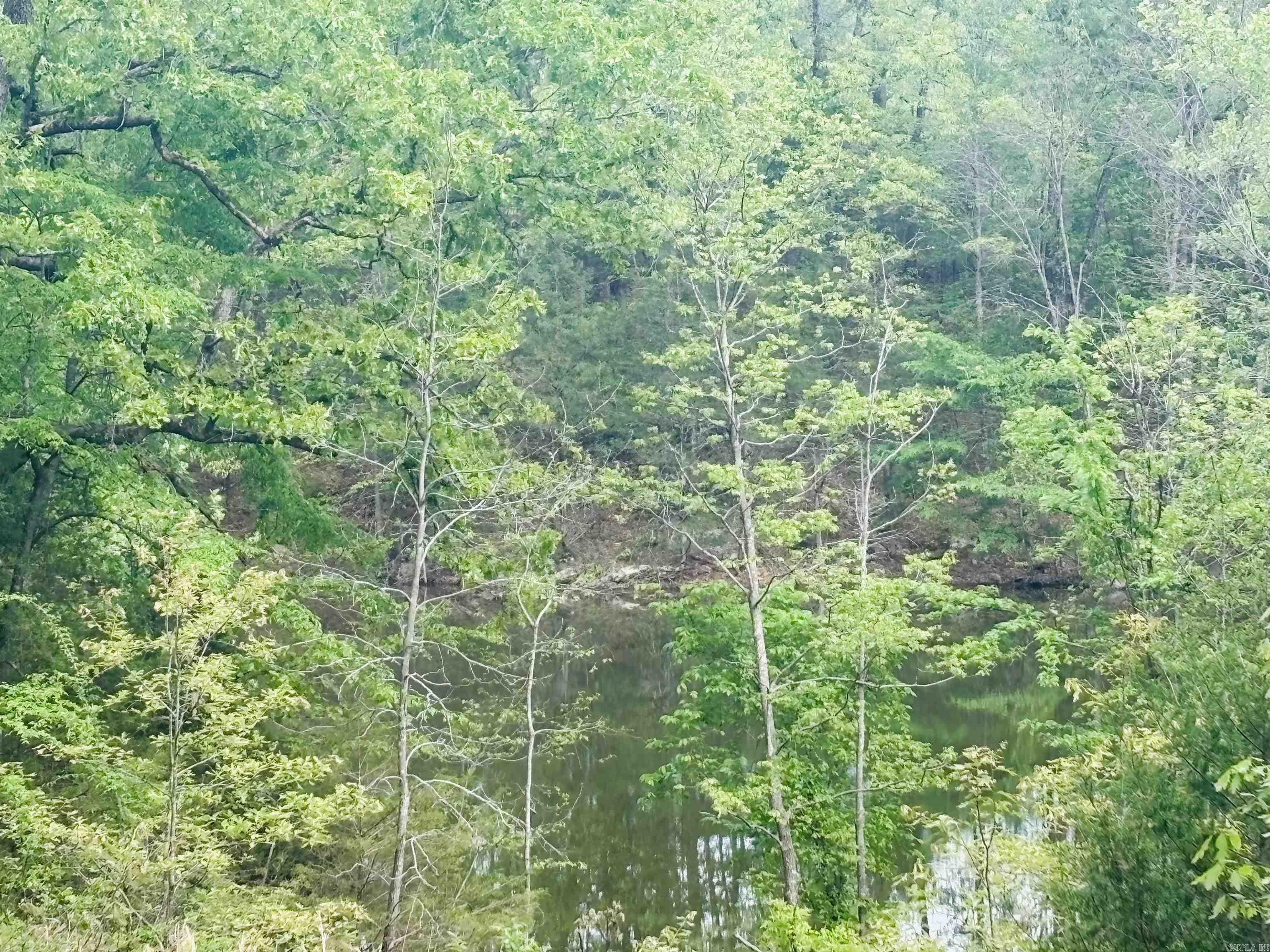 White River Valley - Land