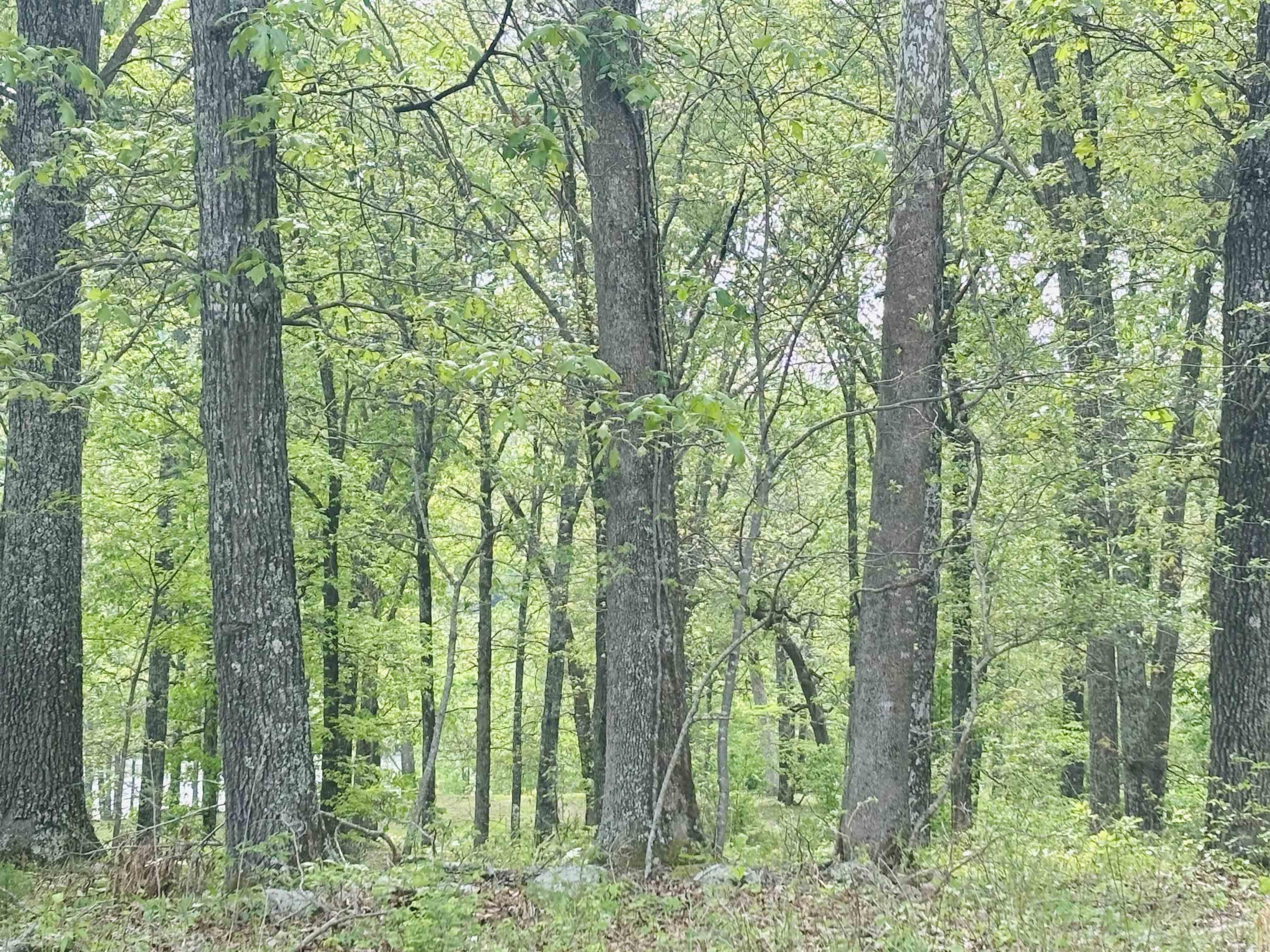 White River Valley - Land