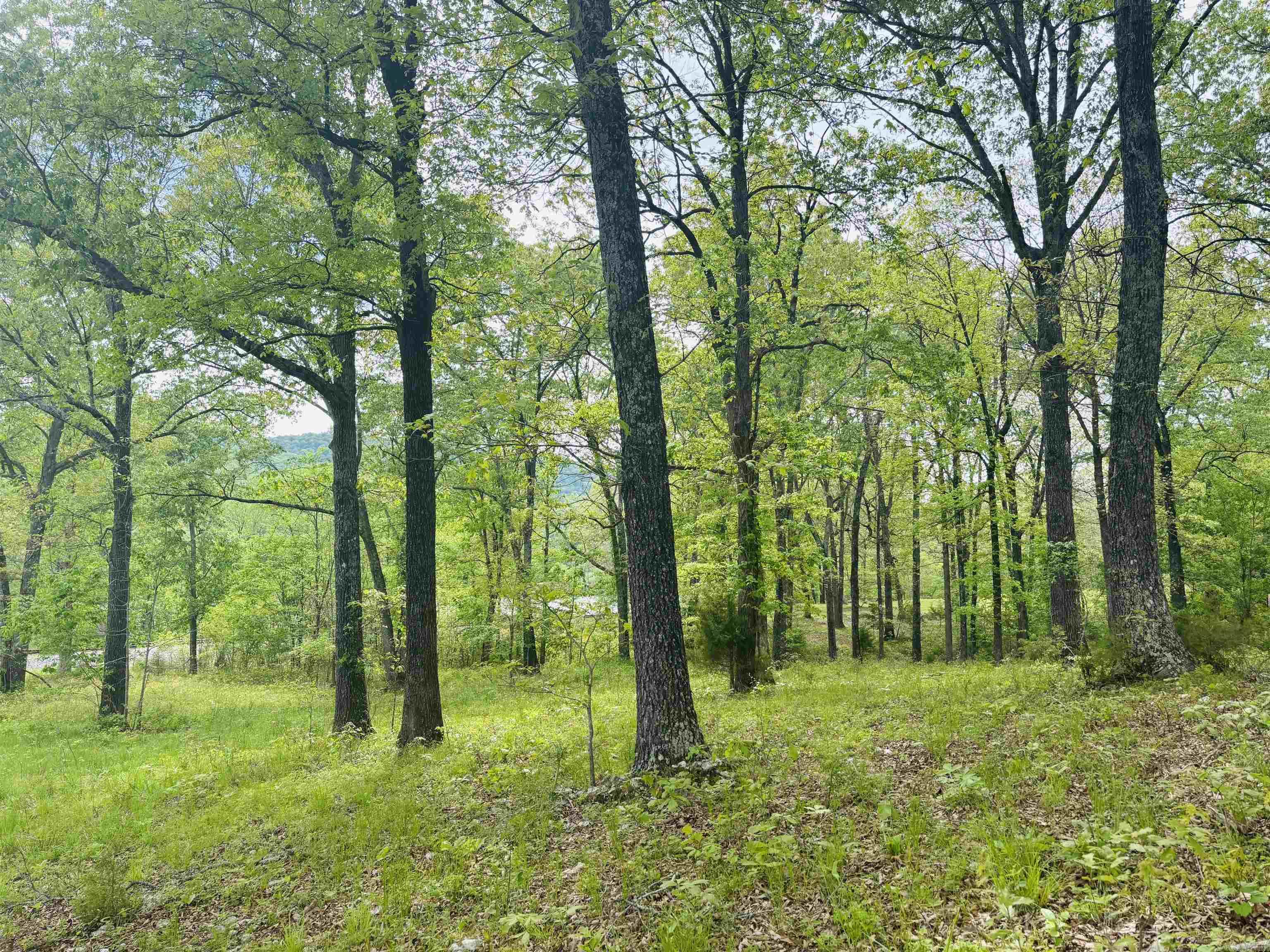White River Valley - Land