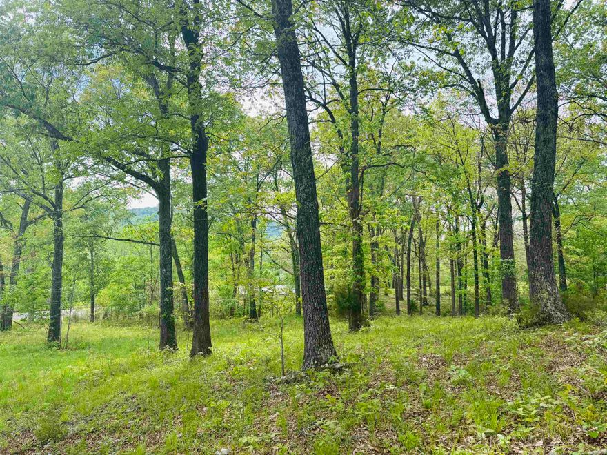 Unique gorgeous riverfront property! This beautiful residential property is a paradise with a rare 800+/- feet of White River frontage in the coveted White River Valley, Phase 4, subdivision!  With almost 16 gorgeous acres, trees for privacy around tastefully cleared areas, paved Cougar Drive frontage, plus use of a private clubhouse and boat launch, this is the perfect setting for constructing a dream riverfront home. Imagine a beautiful, mostly level, mowed grass entry with a driveway leading back to a gorgeous home set among towering trees, near your own large spring-fed pond, with spectacular White River and mountain views. Stunning! Whether you're a nature lover, avid fisherman, or simply love the sound of a flowing stream and watching wildlife, this property offers all this and much more! Near the Buffalo Natl River, Bull Shoals Lake, and all the amenities of Mountain Home. Covenants/restrictions to protect the integrity of the area. Annual HOA fee. Utilities available. Private septic required. R/R easement. Call today for more information or to view.