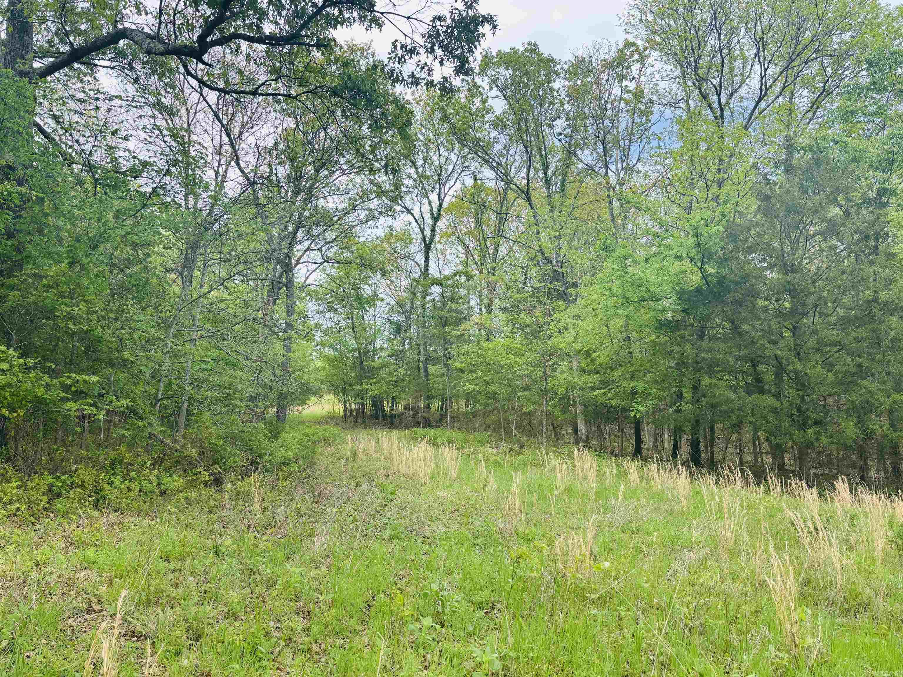 White River Valley - Land