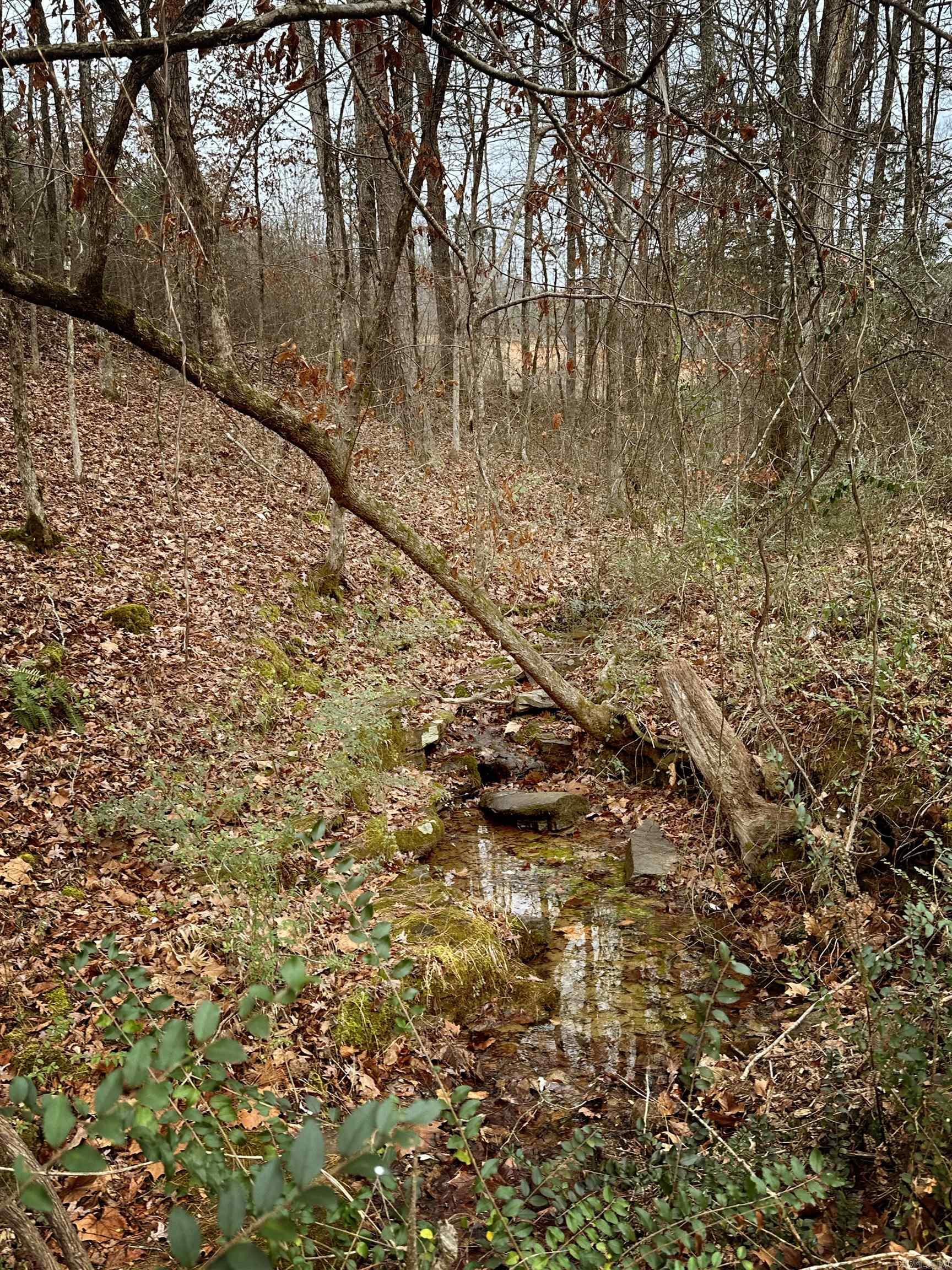 SHIRLEY - Residential