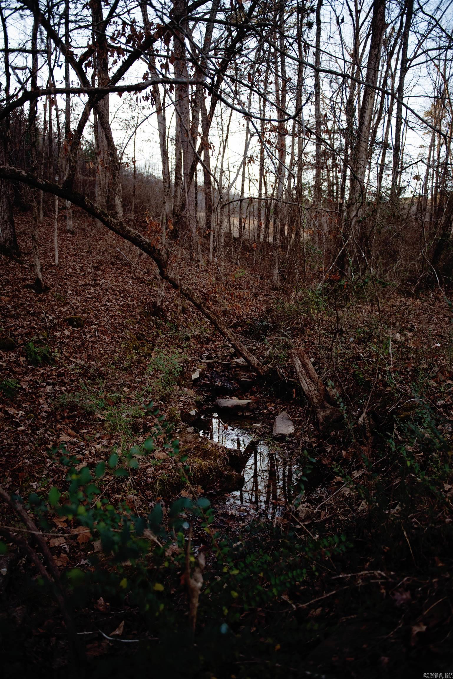 SHIRLEY - Residential