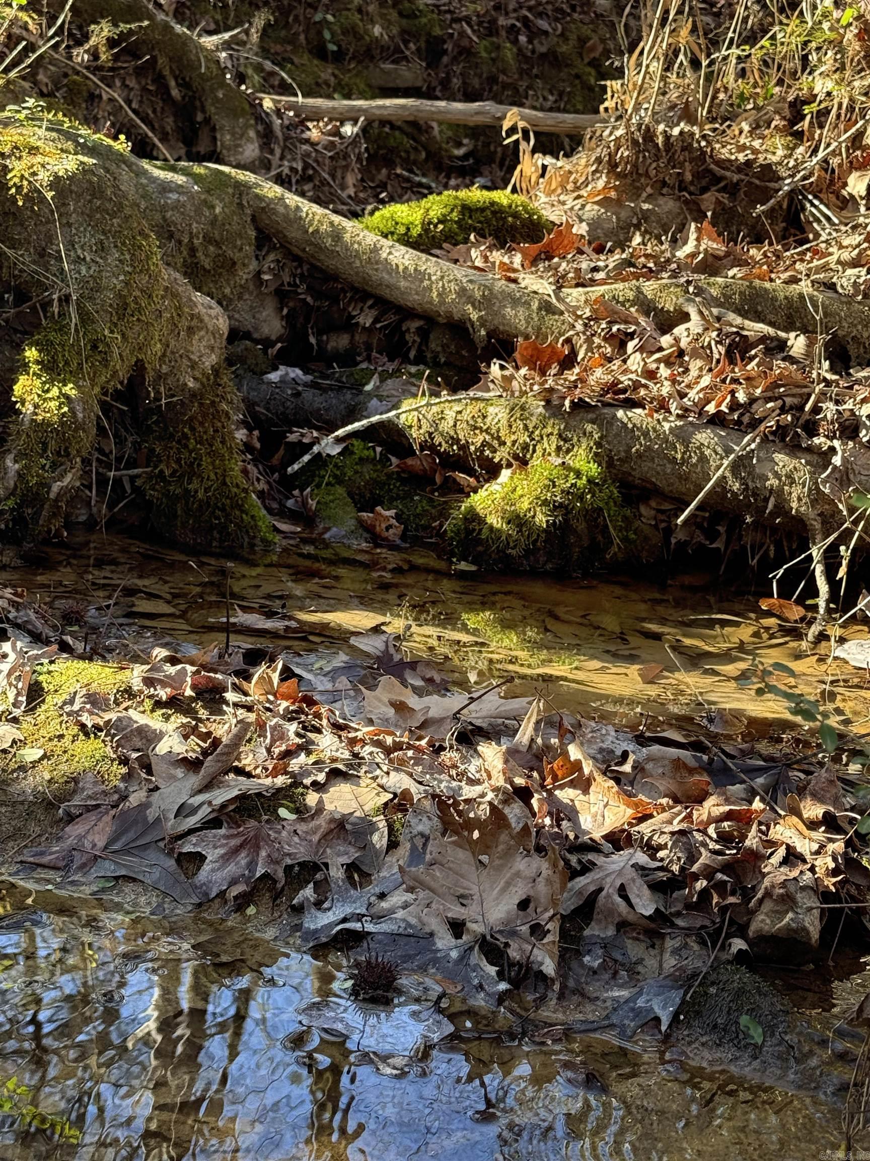 SHIRLEY - Residential