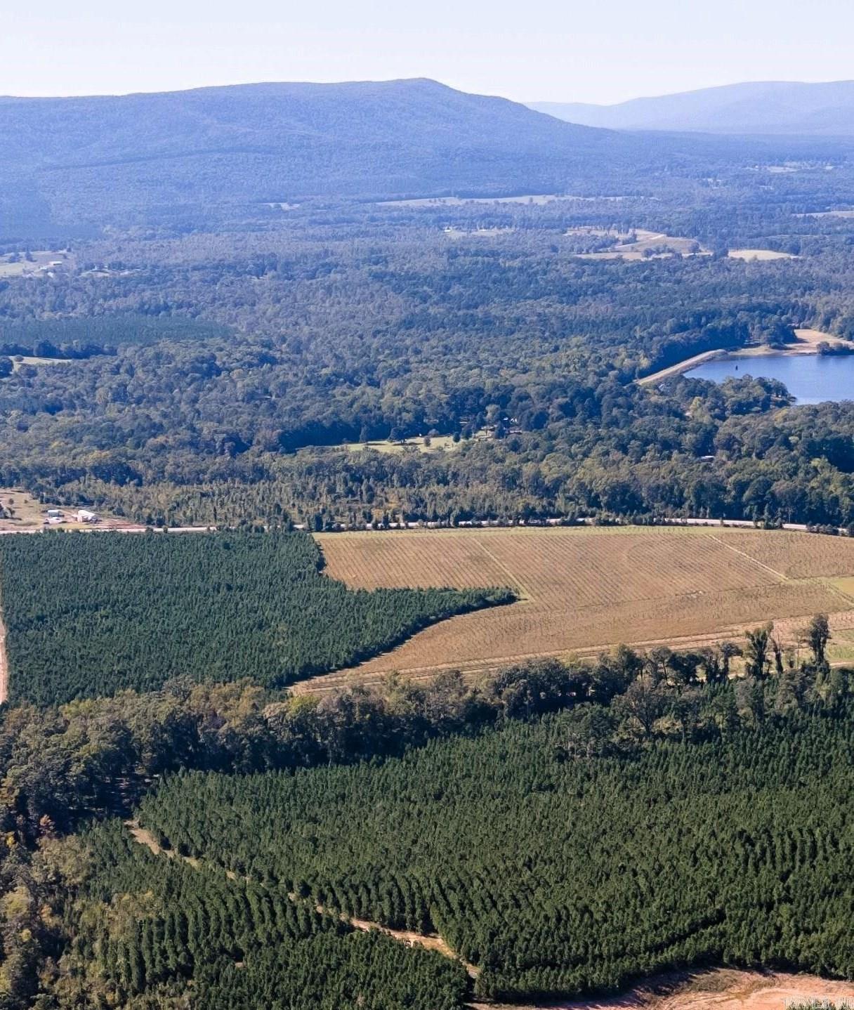 Lake Avalon Estates - Land