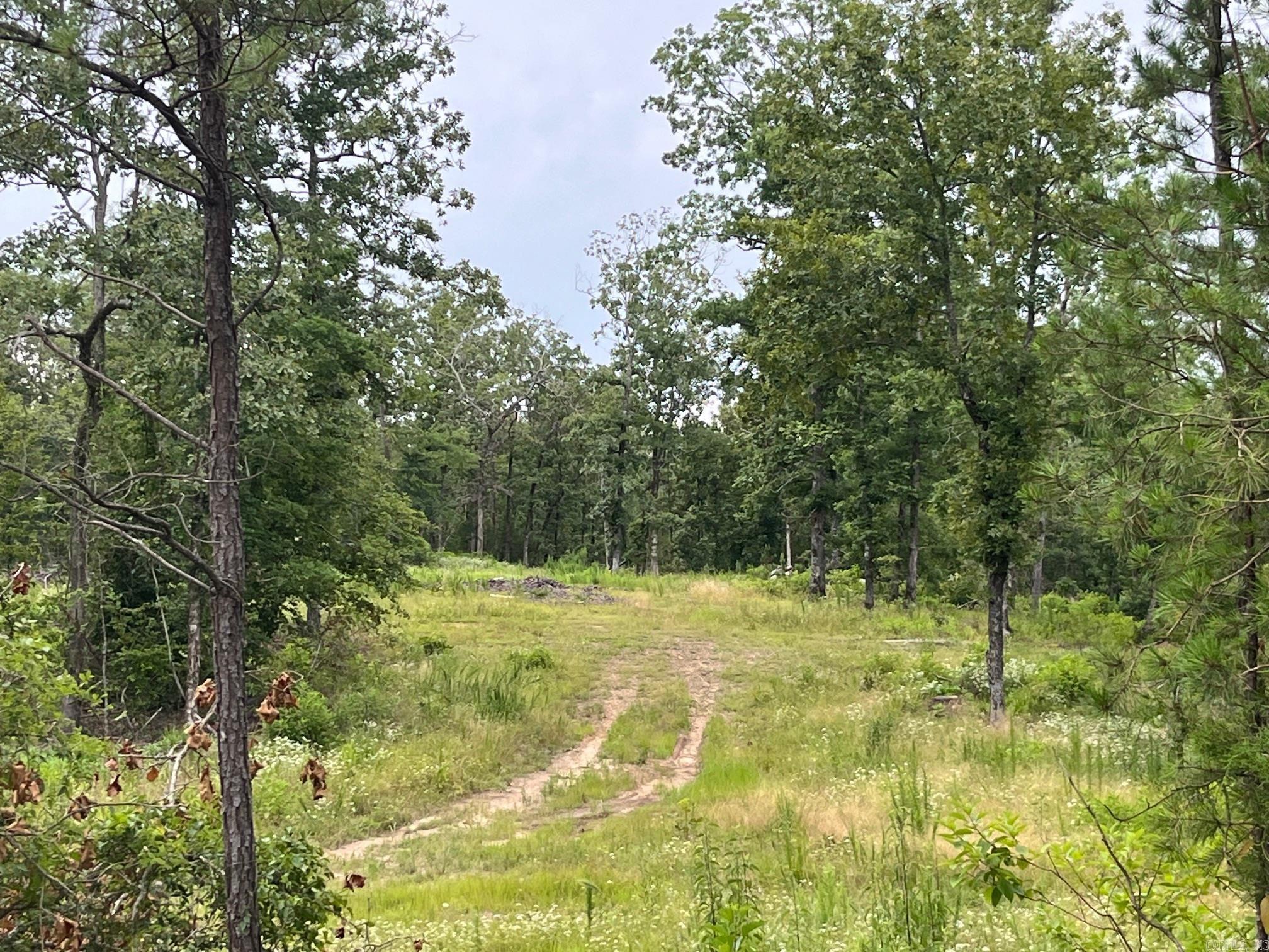 7+/- acre lot near Shouse Ford access at DeGray Lake in Hot Spring County. The property has paved frontage along Shouse Ford Road with electricity, fiber internet, and municipal water. The property consists mixed timber and mature hardwood, making it ideal for a secluded escape near DeGray. The property is south of Point Cedar, near Bismarck.