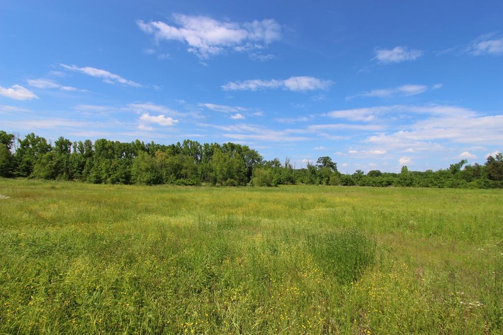 Conway Marketplace East - Commercial Sale