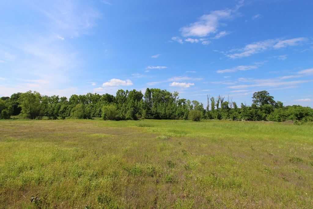 Conway Marketplace East - Commercial Sale