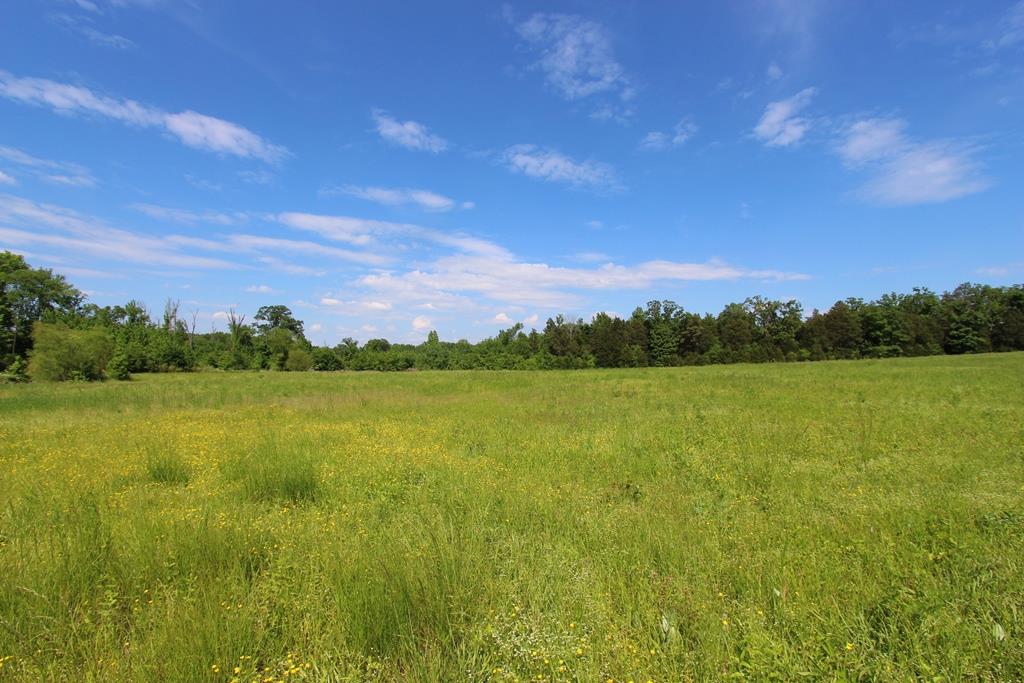 Conway Marketplace East - Commercial Sale