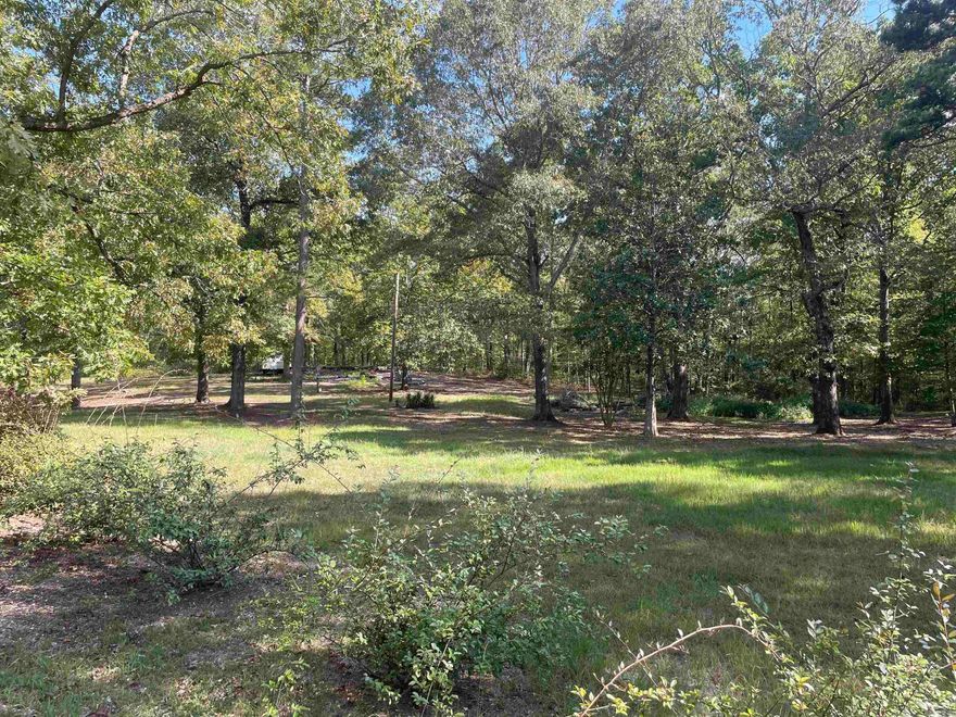 Check out this magnificent piece of land! Plenty of opportunity to develop. Just a few minutes away from Downtown Hot Springs. Great deal and leveled! All utilities are available and ready to go. Don't let this great opportunity pass you by!