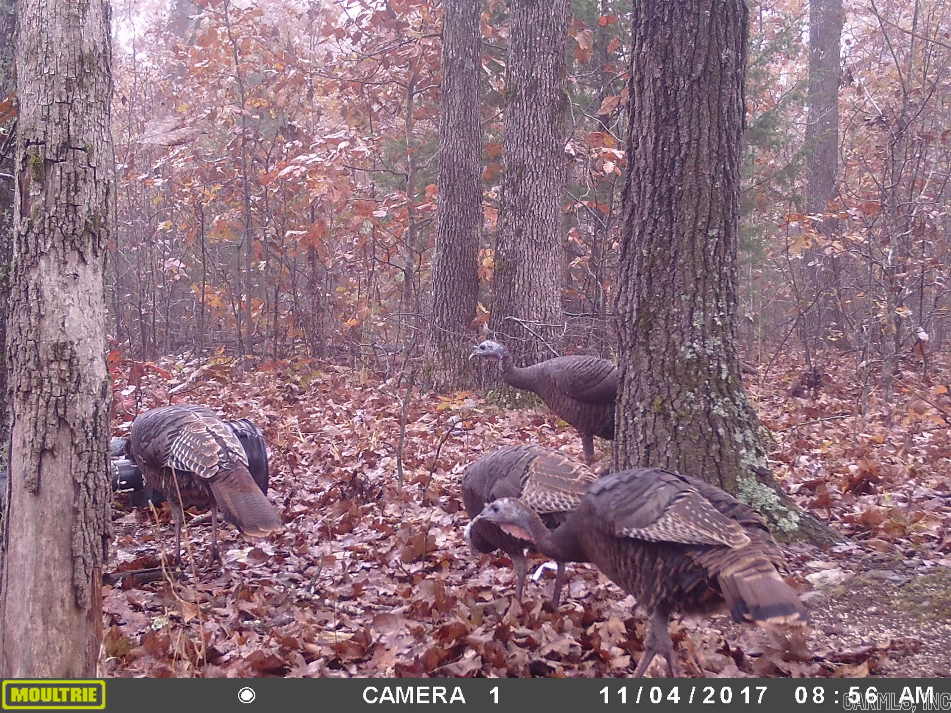 Metes & Bounds - Land