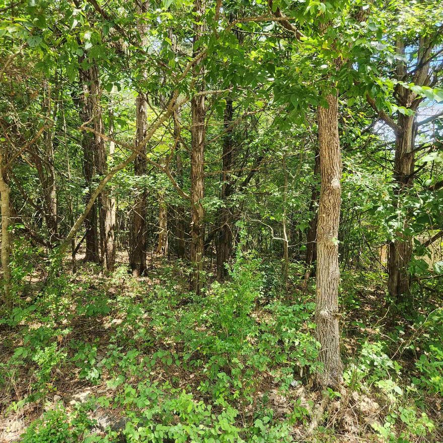 Wonderful and wooded lot in the heart of Cherokee Village. Secluded and away from it all. Buy this lot and pick your spot to build your dream home or just a getaway cabin. With ownership of this lot you have access to all the amenities of Cherokee Village such as the lakes and golf courses and Thunderbird Center and swimming pool, mini golf, parks, hiking trails and don't forget about the beautiful Southfork River.