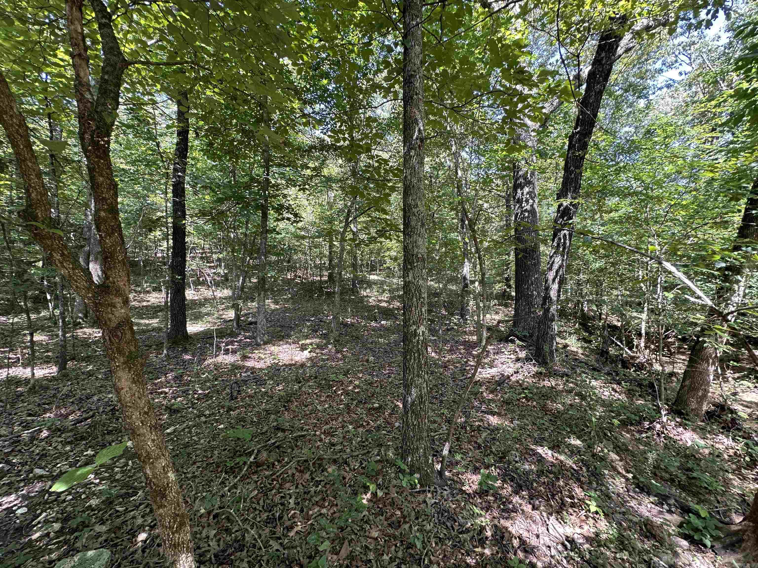 This beautiful piece of land is perfectly situated just on the outskirts of Highland, Arkansas, offering the charm of rural living with the convenience of town just minutes away. Boasting road frontage on two sides, this property presents an excellent opportunity for those looking to build their dream home in a peaceful, accessible location. With utilities available (not on property) and minimal preparation required, itās ideal for new construction, or even placing a modular or mobile home. Whether you're looking to settle down or invest in a growing area, this tract is priced to sell quickly and ready for your vision.