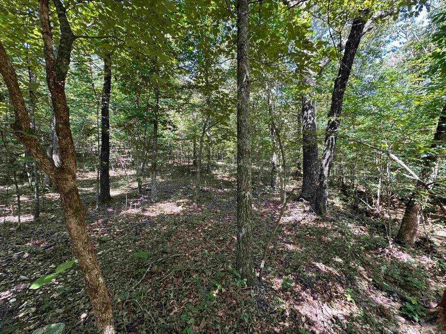 This beautiful piece of land is perfectly situated just on the outskirts of Highland, Arkansas, offering the charm of rural living with the convenience of town just minutes away. Boasting road frontage on two sides, this property presents an excellent opportunity for those looking to build their dream home in a peaceful, accessible location.  With utilities available (not on property) and minimal preparation required, it’s ideal for new construction, or even placing a modular or mobile home. Whether you're looking to settle down or invest in a growing area, this tract is priced to sell quickly and ready for your vision.