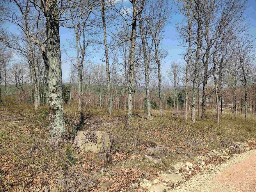 Looking for property with a views? This one offer views to the north and northeast with potential views to the northwest with a little clearing. With power and city water available, its located just minutes from Court square, where you can enjoy music and amenities. It's the perfect place to build your dream home, complete with a large deck to take in the scenery!!