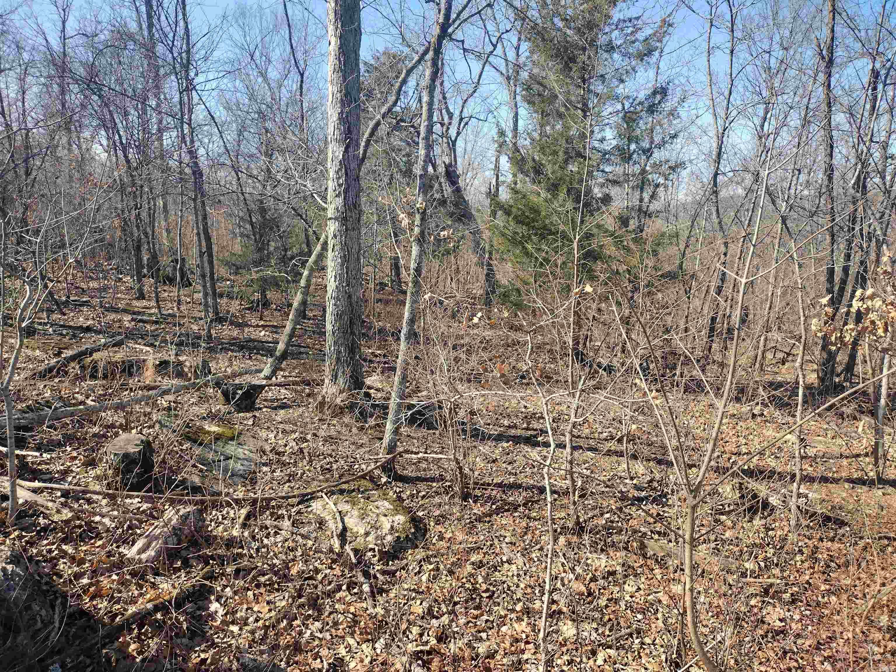 Metes & Bounds - Land