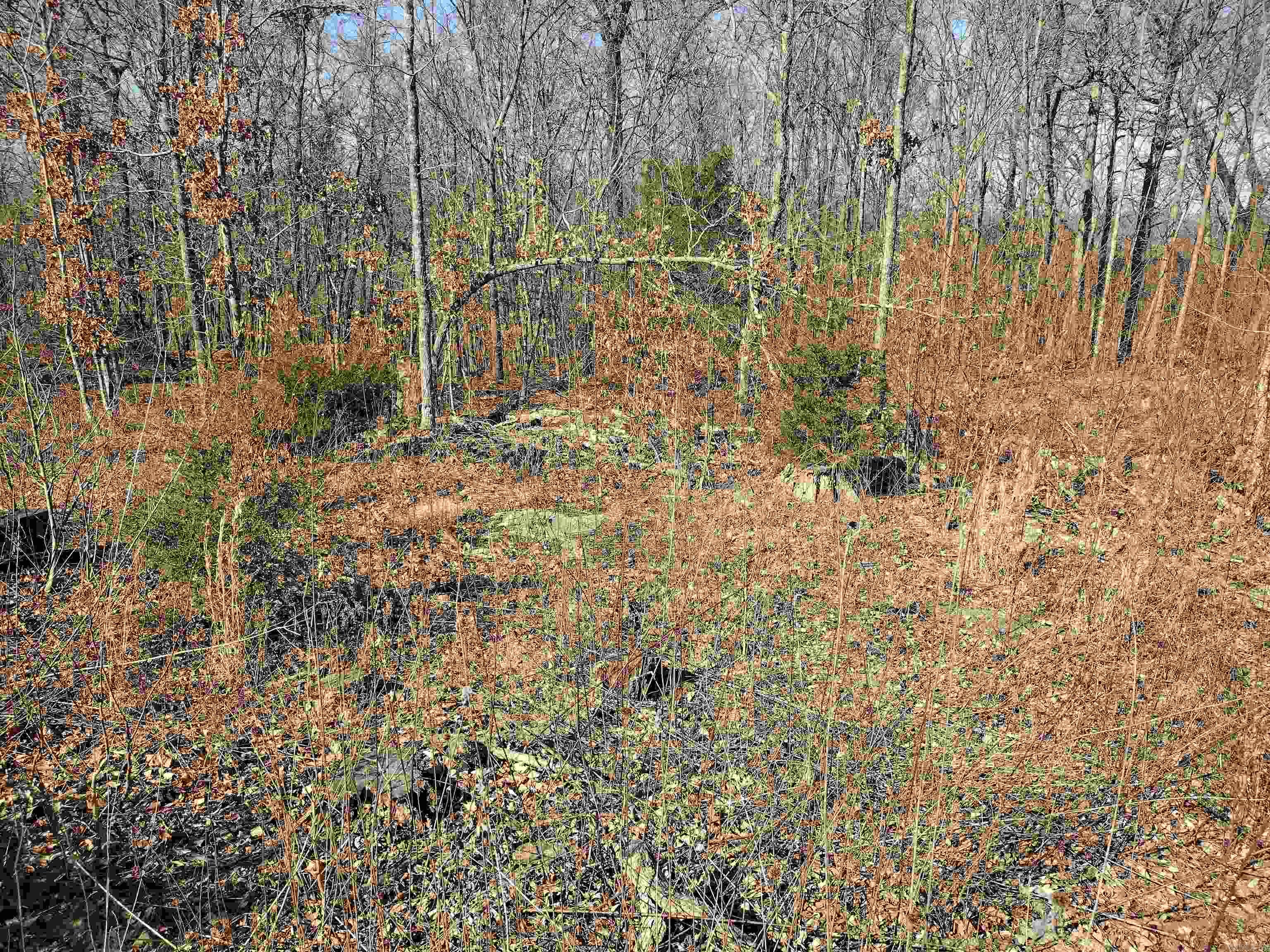 Metes & Bounds - Land