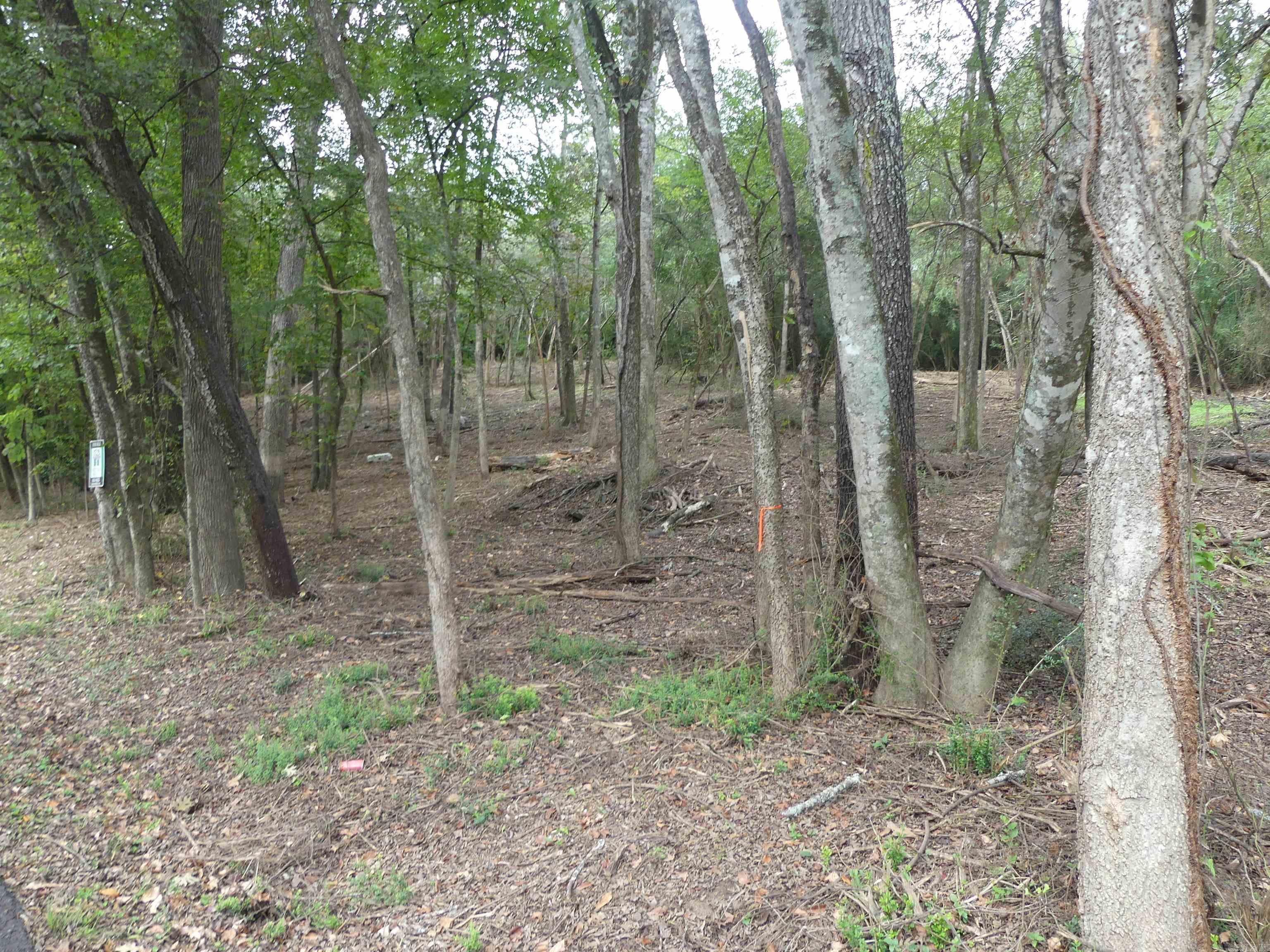 Corys Glazier Peau - Land