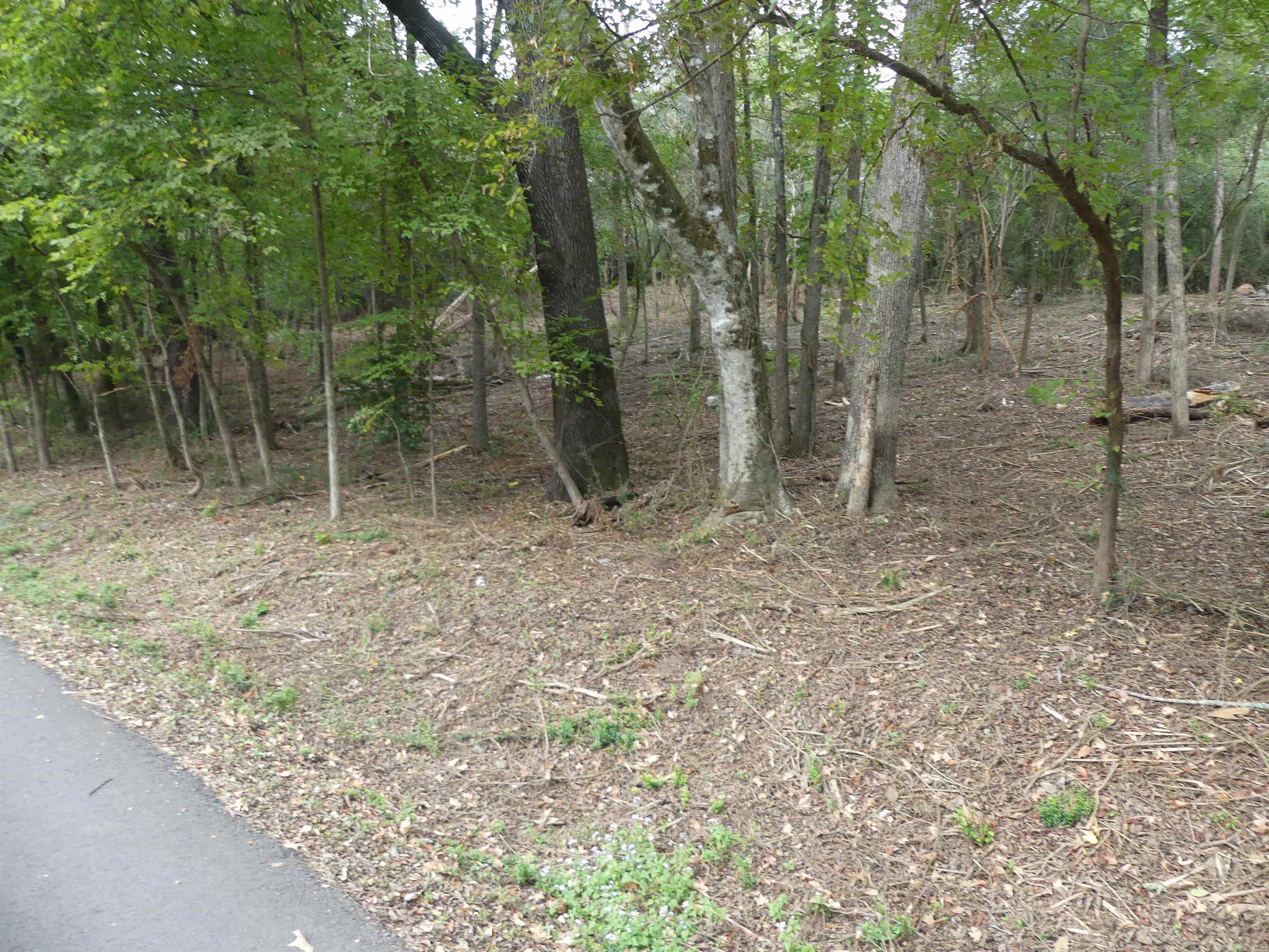 Corys Glazier Peau - Land