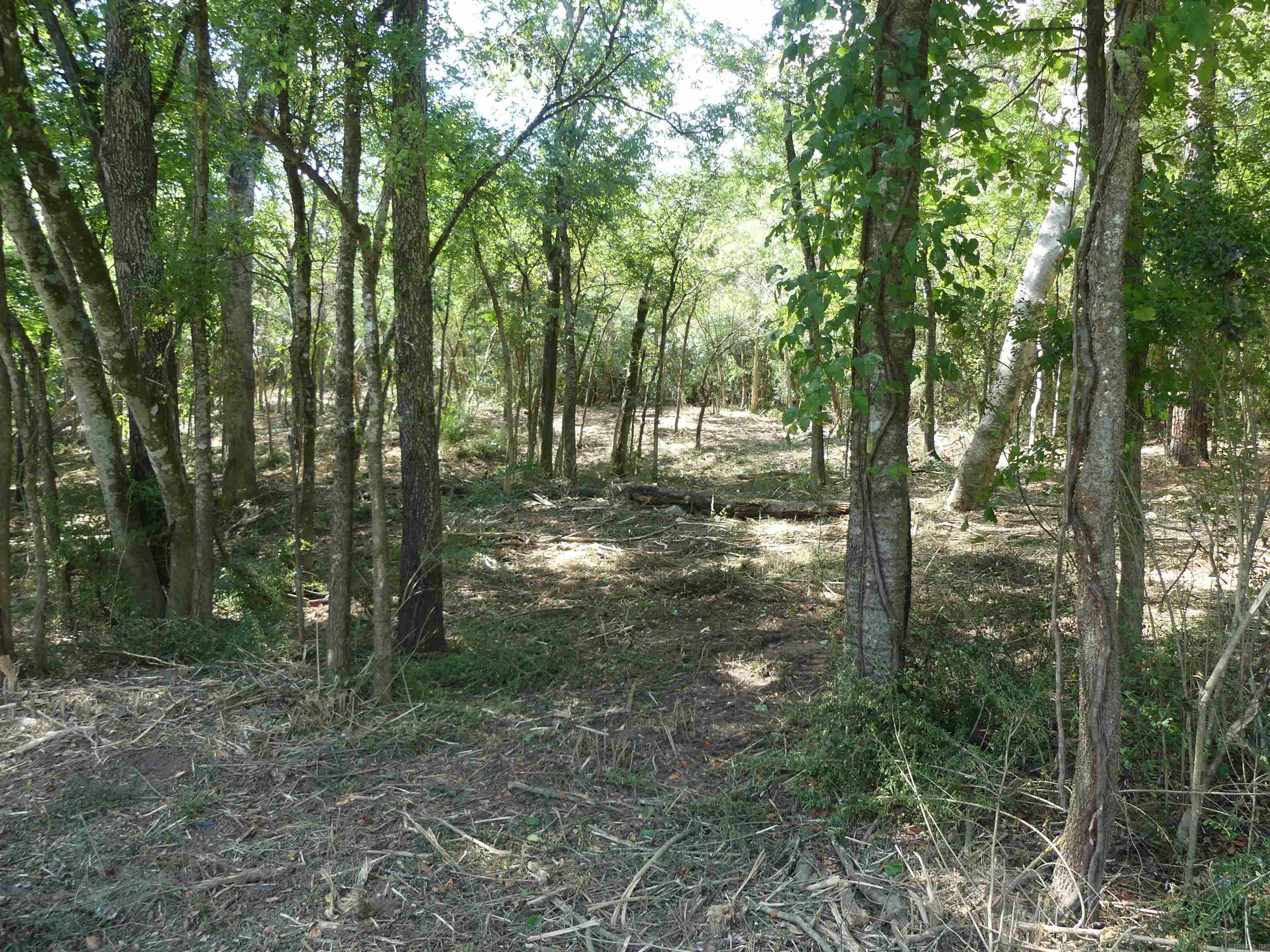 Corys Glazier Peau - Land