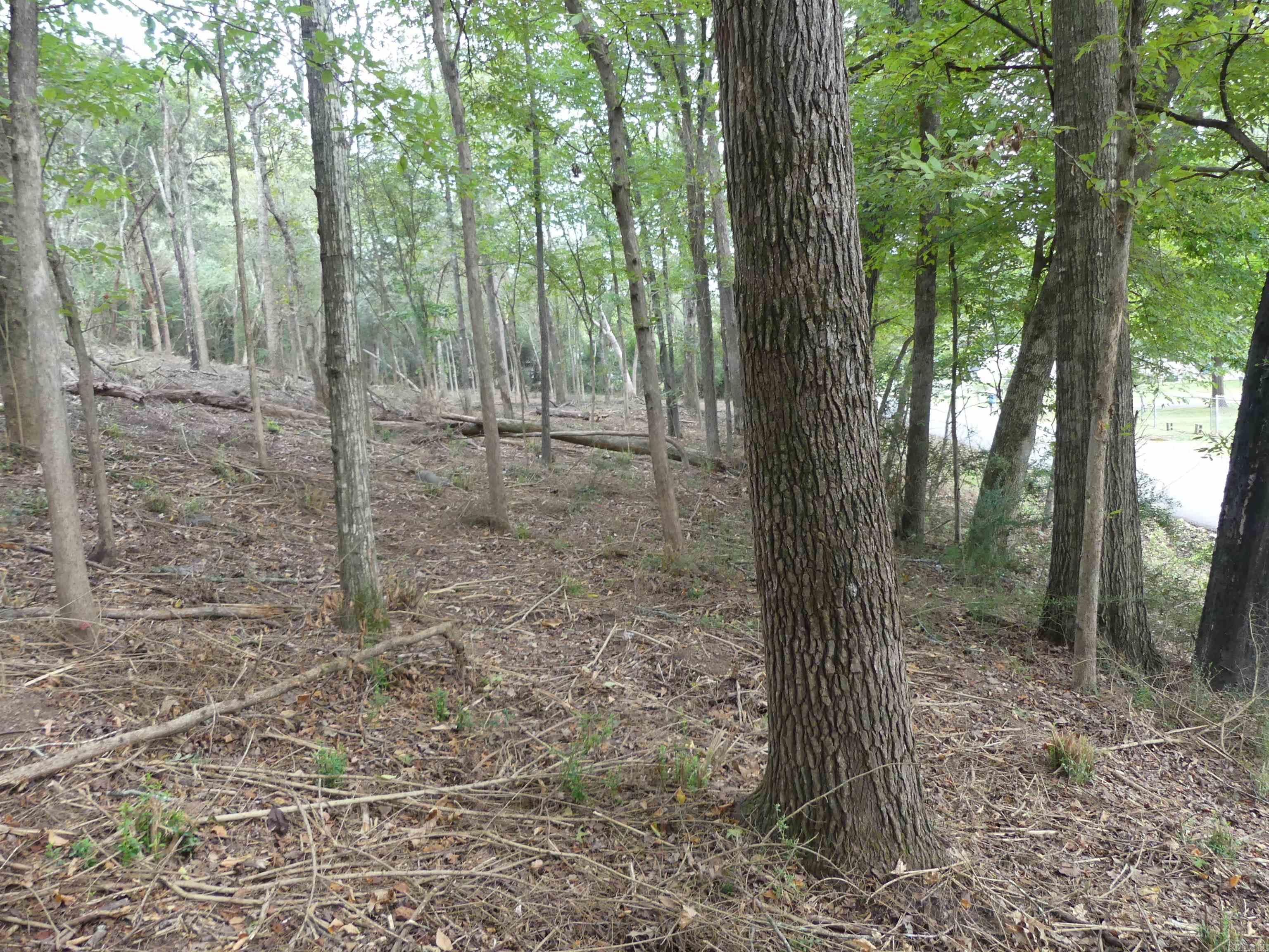 Corys Glazier Peau - Land