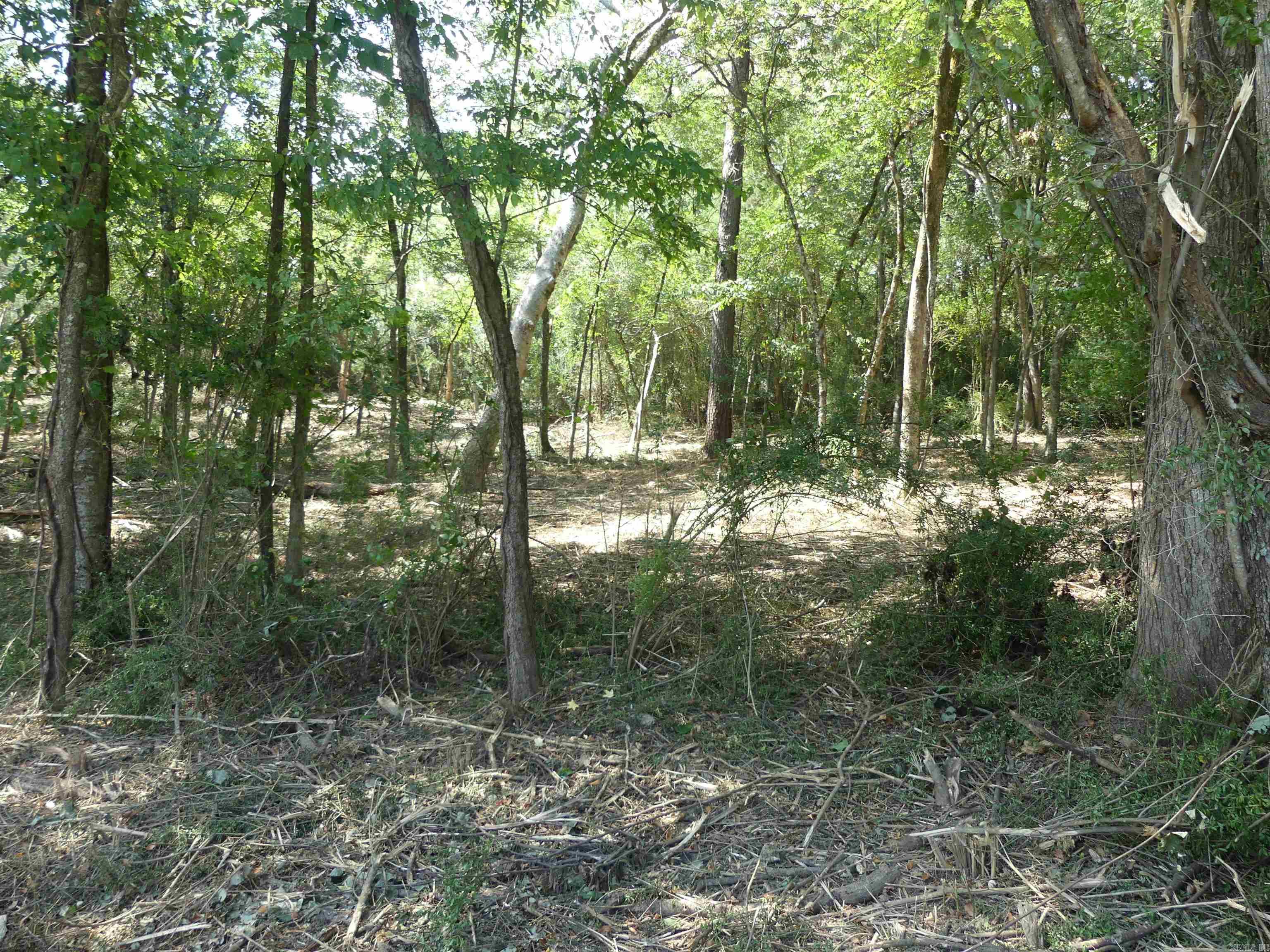 Corys Glazier Peau - Land