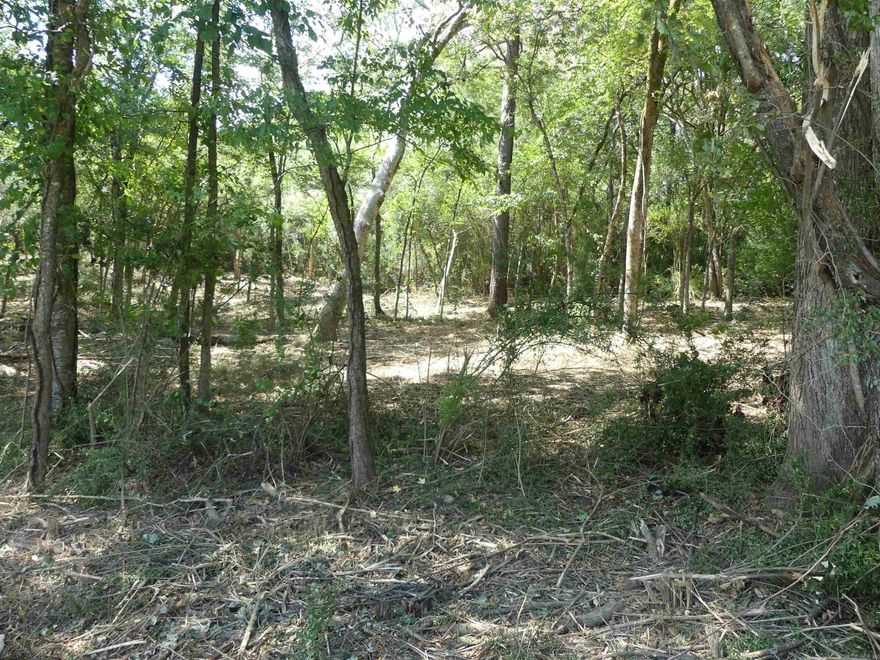 Three lots located across the street from Lake Hamilton in this quiet Mountain Pine Community. Lots have been cleared and surveyed and have electric and water at the street. Just bring your house plans and your contractor and start getting ready for your relaxing forever or vacation home!