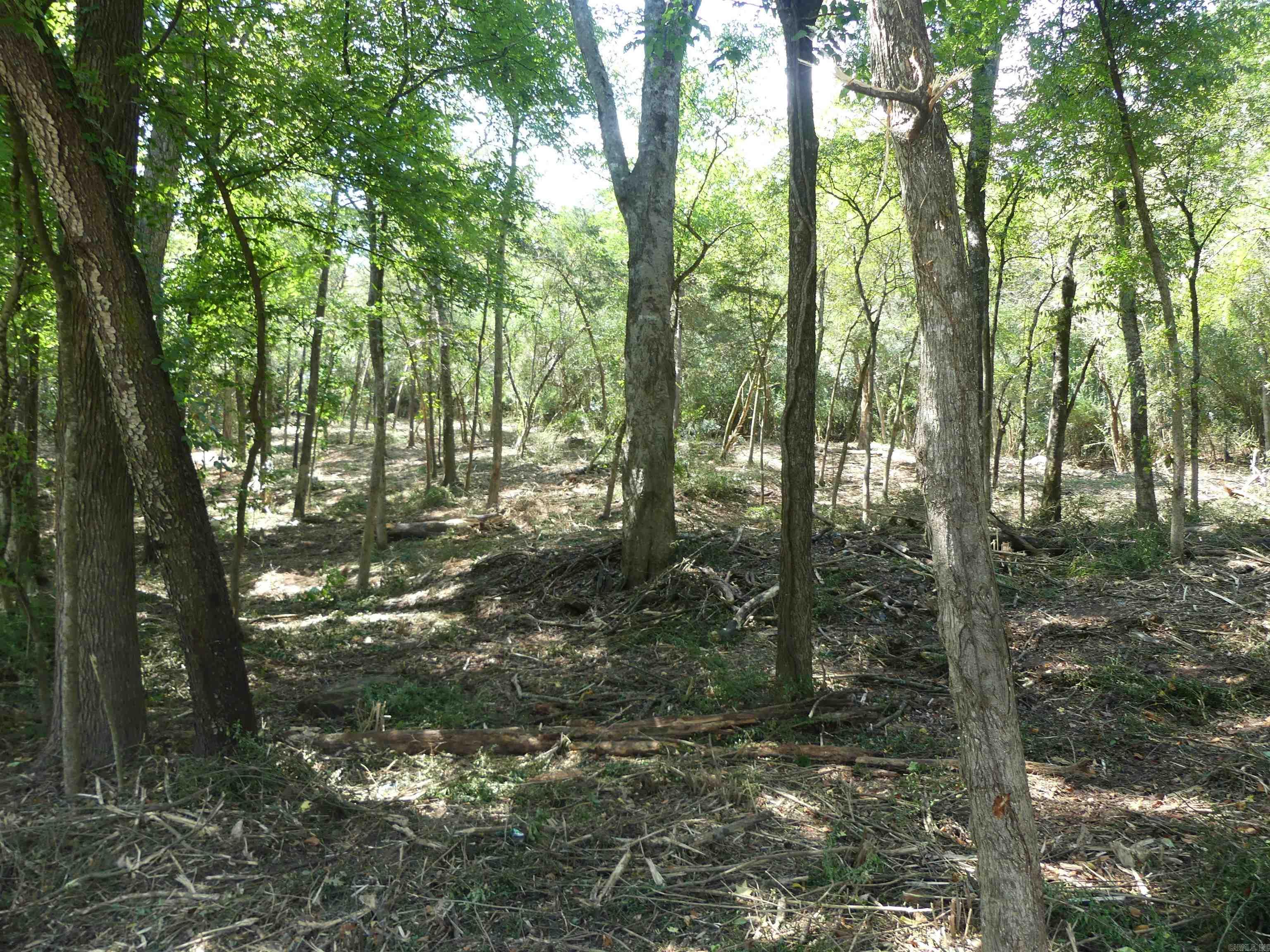 Corys Glazier Peau - Land