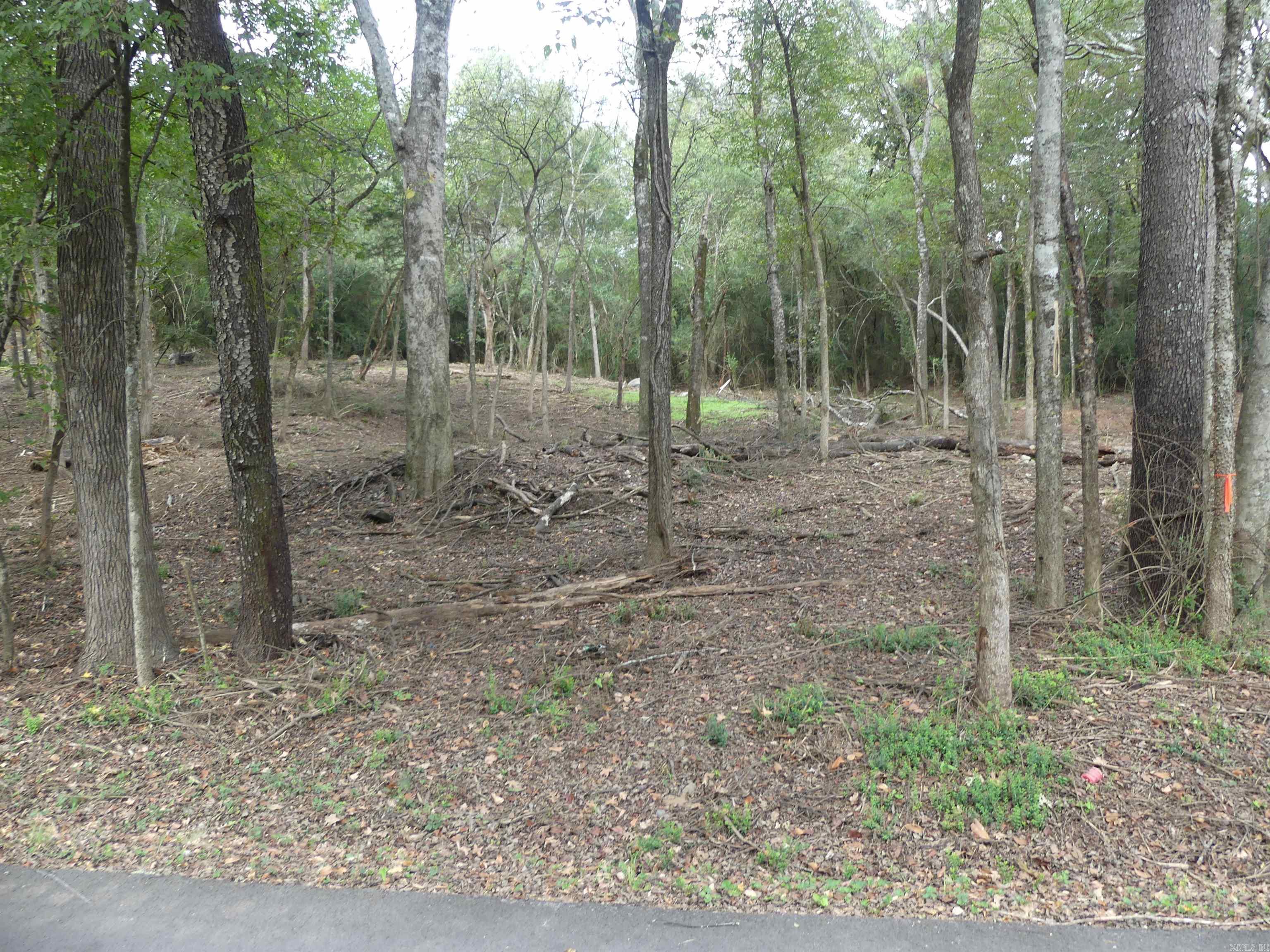 Corys Glazier Peau - Land