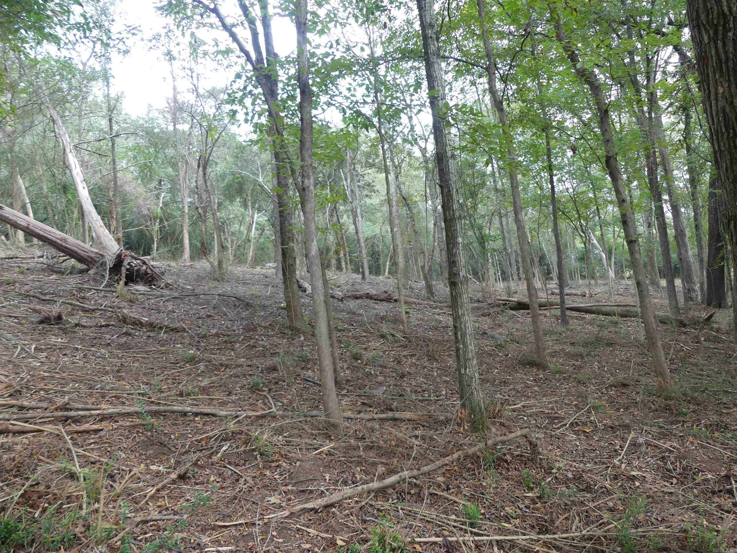 Corys Glazier Peau - Land