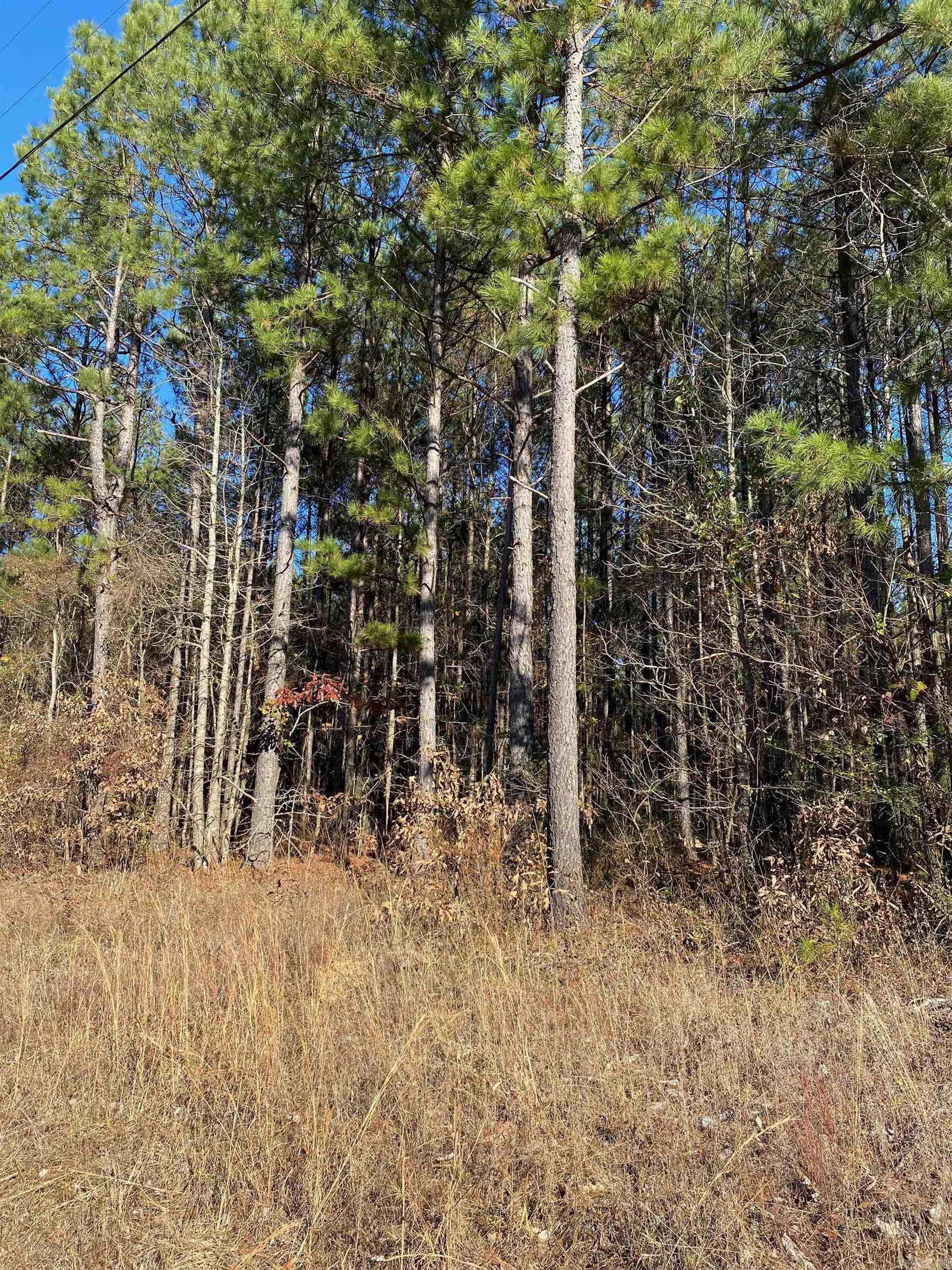 Not in Subdivision - Land