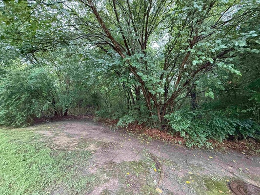 ARBOR CV, LITTLE ROCK, AR 72209 - Image 3f84ec69f5293ad76f3e8db5cbf9f352/620891695