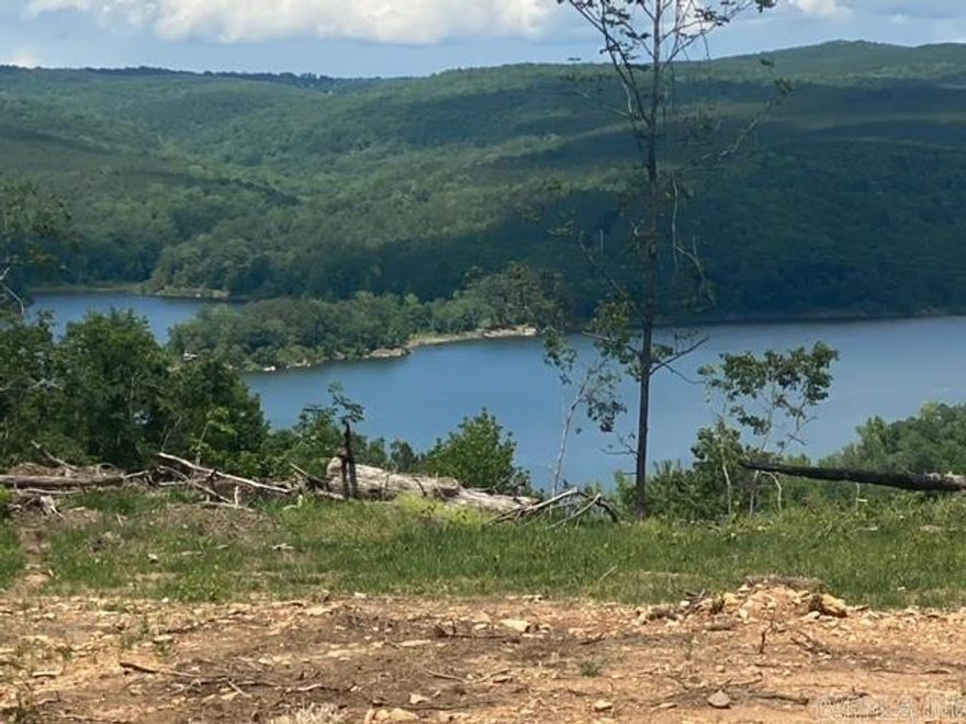 MY OH MY, WHAT BEAUTIFUL LAKEVIEW AND MOUNTAIN VIEW PROPERTY THIS  41 ACRES IS.  JUST ABOUT ANYWHERE YOU WANT TO BUILD ON THIS WONDERFUL ACREAGE YOU WILL BE DELIGHTED IN YOUR VIEW OF GREERS FERRY LAKE & ITS COUNTRYSIDE.  THIS WOULD MAKE A GREAT LAKEVIEW SUBDIVISION OR WOULD YOU PREFER TO HAVE THE VIEW, AMAZING WILDLIFE AND COMPLETE PRIVACY TO YOURSELF BECAUSE BOTH ARE POSSIBLE. Just outside city limits puts u very close to town for restaurants and shopping. There is a mobile home located on the property to live in while you build that dream home or multiple dream homes. New well, new septic, electric, remodeled mobile that is as cute an clean as it can be.  TWO SPRINGS ON PROPERTY (well is tapped in to one). Well is 100ft deep pumping 13 gal per minute. Property Only 1000 off pavement (Hwy. 92) and gated. MORE PICS AND DRONE FOOTAGE TO COME.