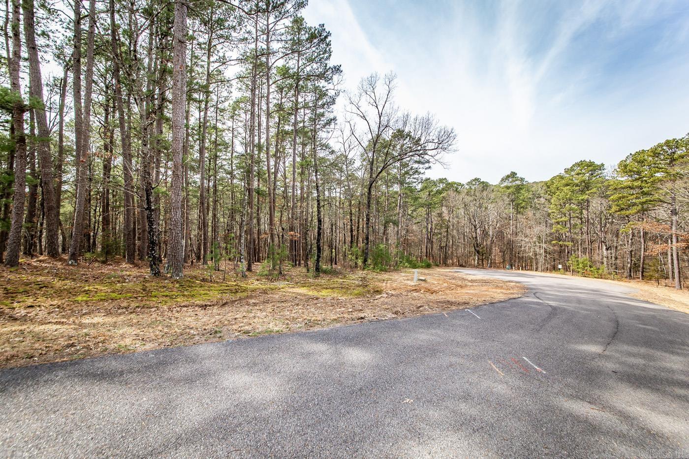 Just what the doctor ordered. Four lakeview/front tracts containing 3 m/l acres. Minimum restrictions and all utilities underground (will need to be perked), including fiber internet. Paved streets, secluded and private feel with all the pleasure's of LAKE LIFE. Don't miss out.