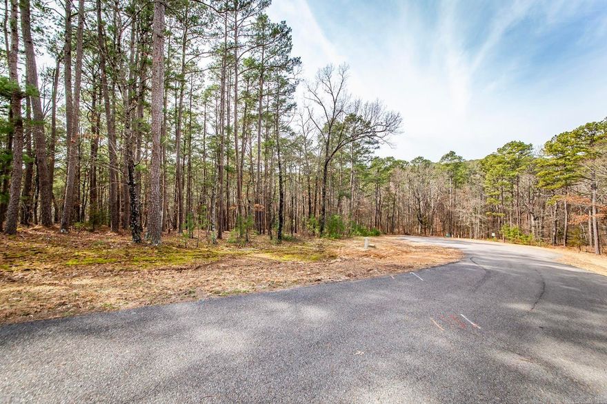 Just what the doctor ordered. Four lakeview/front tracts containing 3 m/l acres. Minimum restrictions and all utilities underground (will need to be perked), including fiber internet. Paved streets, secluded and private feel with all the pleasure's of LAKE LIFE. Don't miss out.