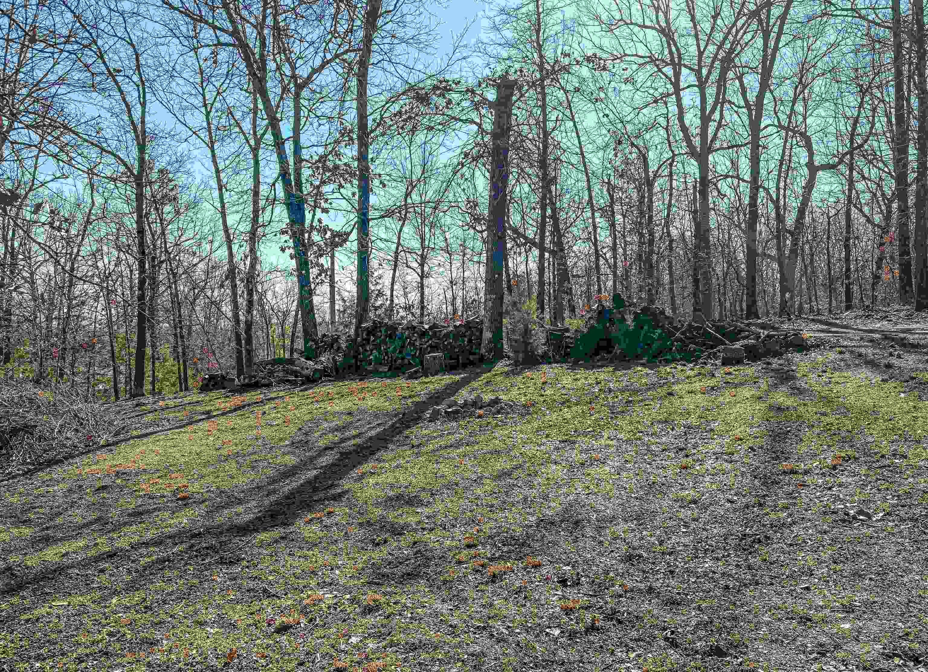 Metes & Bounds - Residential