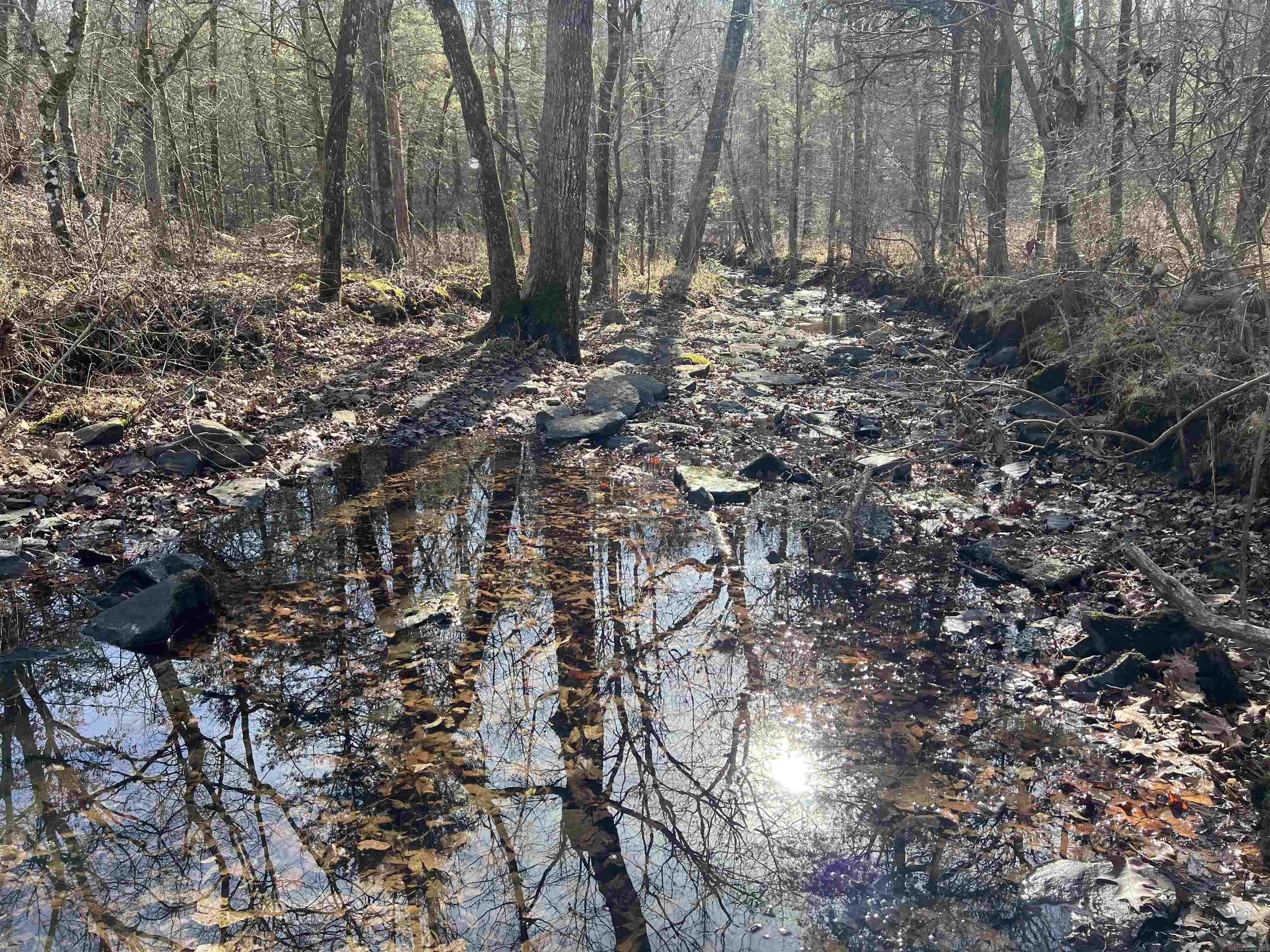 Metes & Bounds - Land