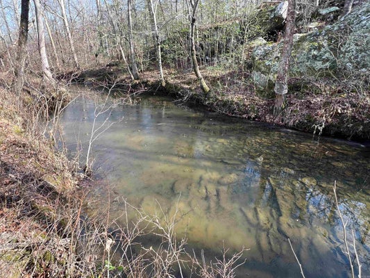 102 SHILOH RD, MC RAE, AR 72102 - Image 3fc5968b8aead2f79a021b08187ff348/1700509687