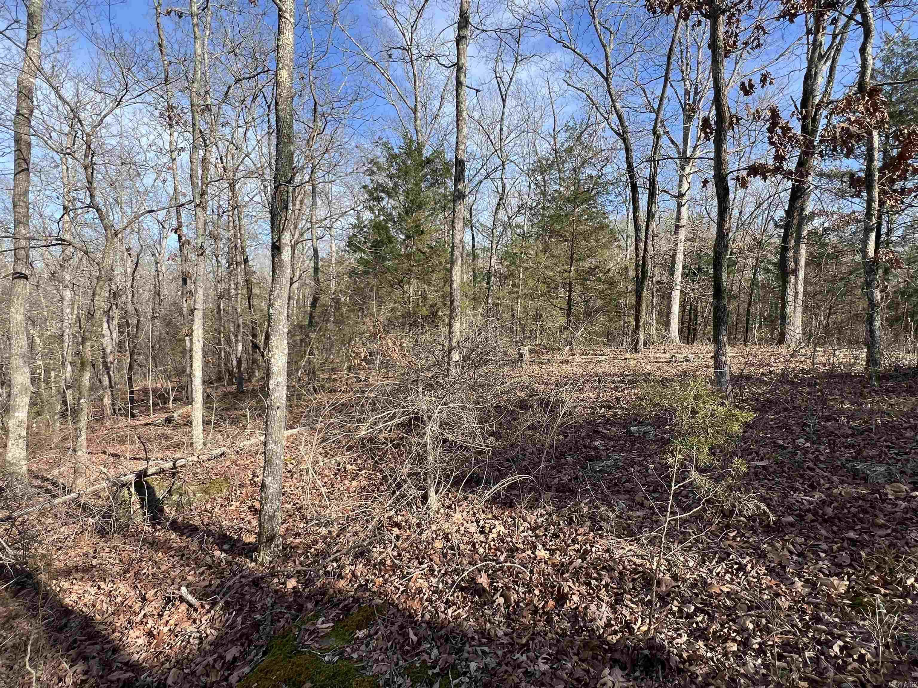 Metes & Bounds - Land