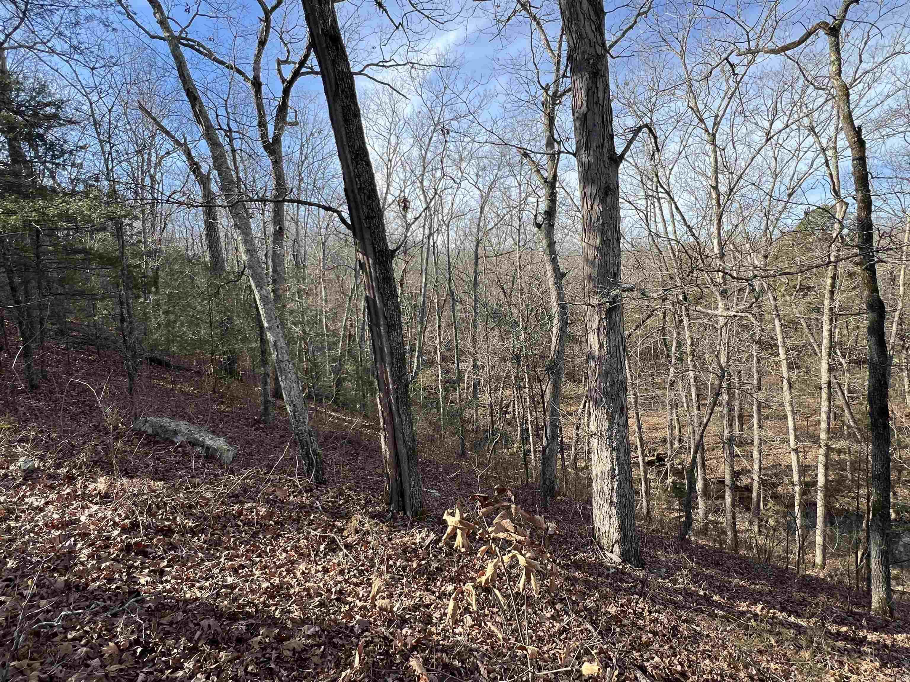 Metes & Bounds - Land