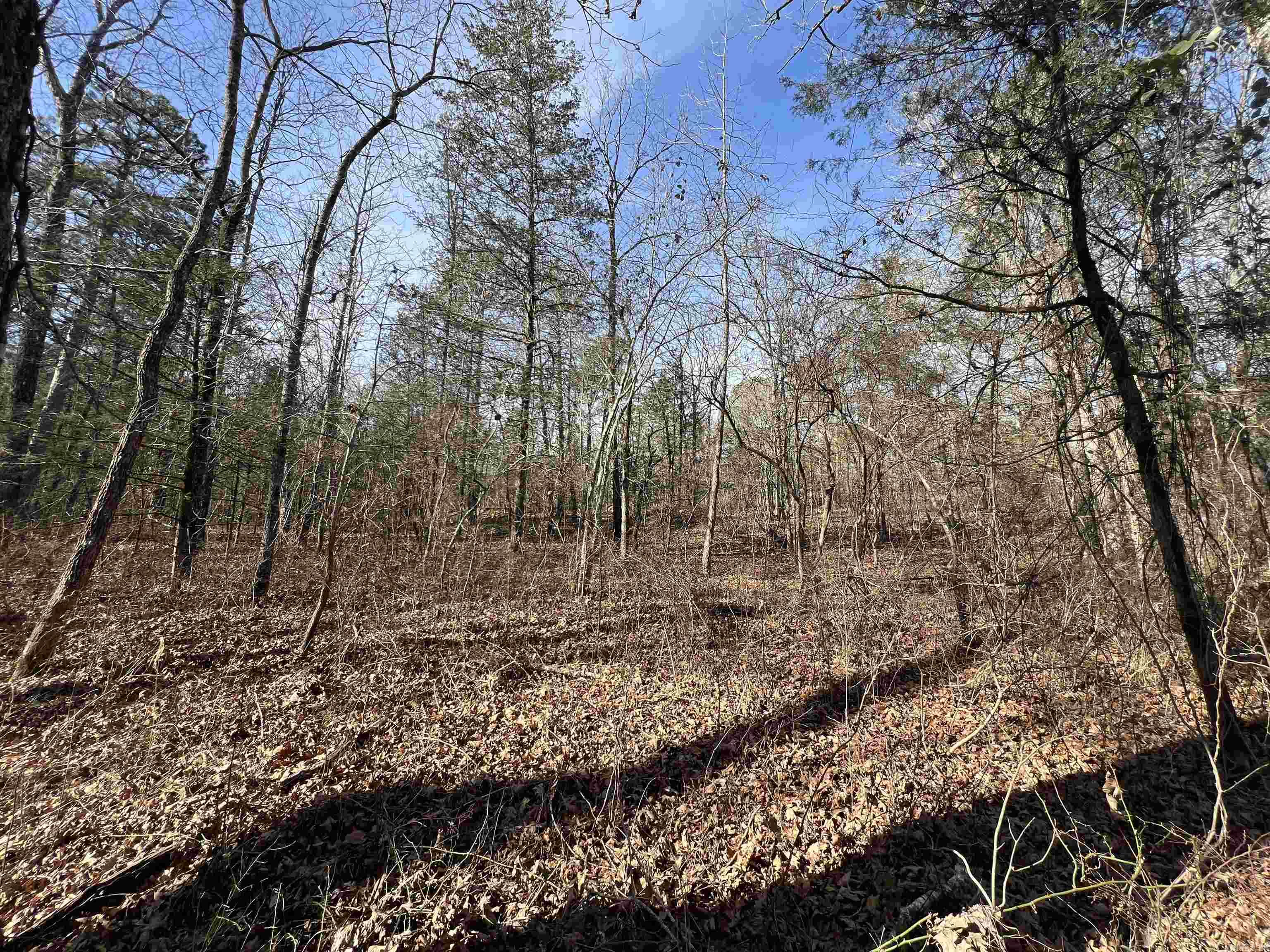 Metes & Bounds - Land