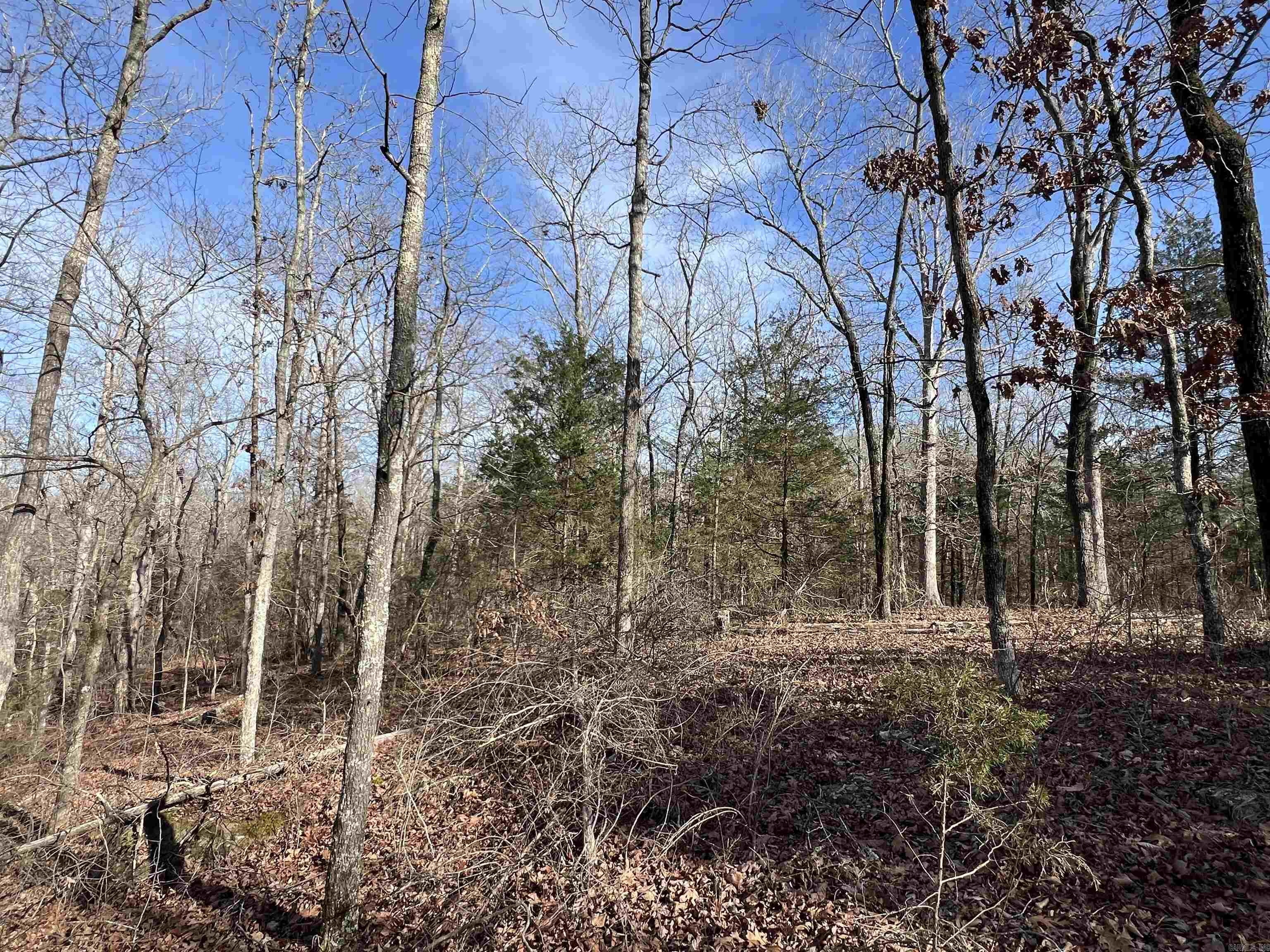 Metes & Bounds - Land