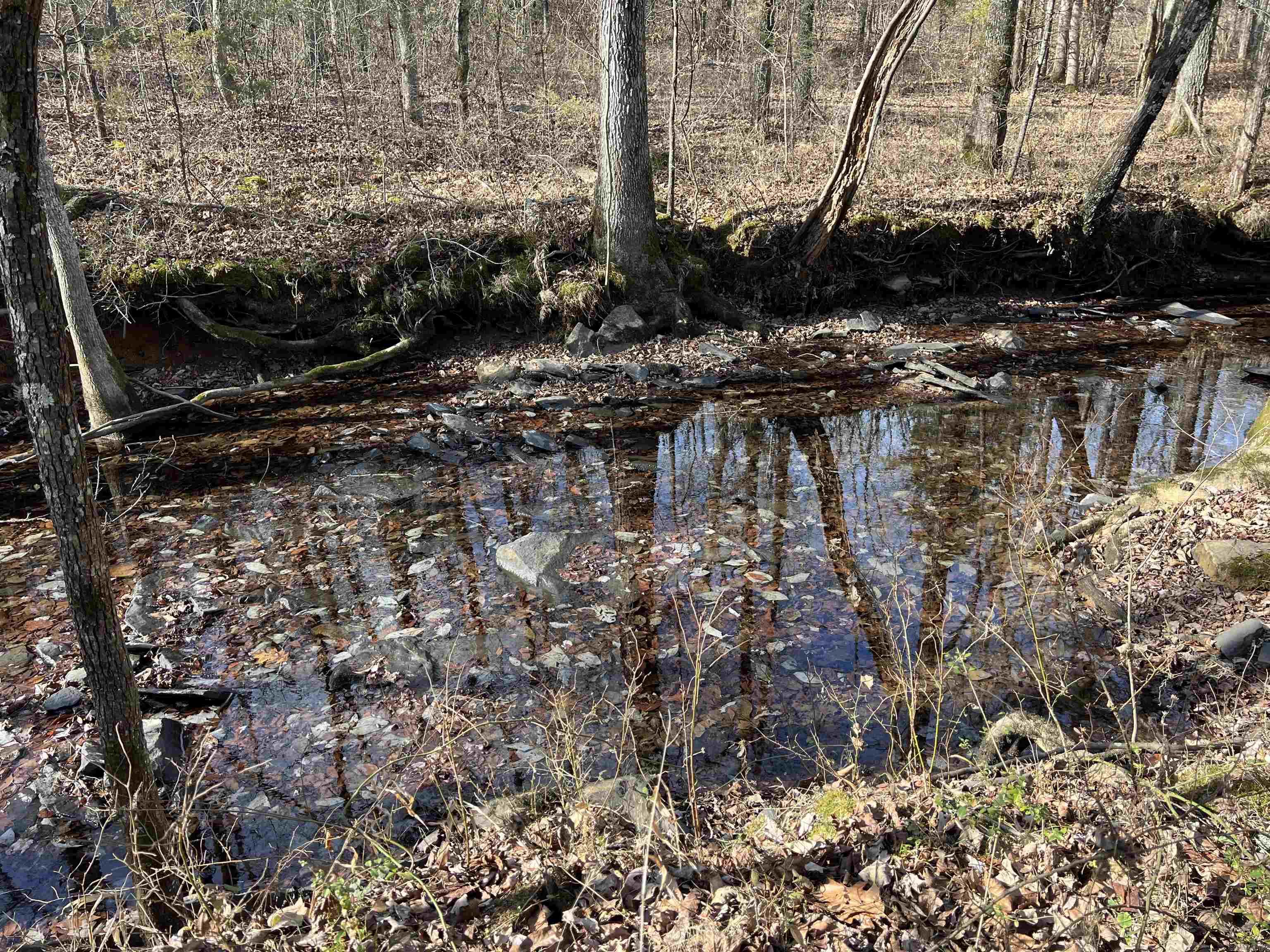 Metes & Bounds - Land